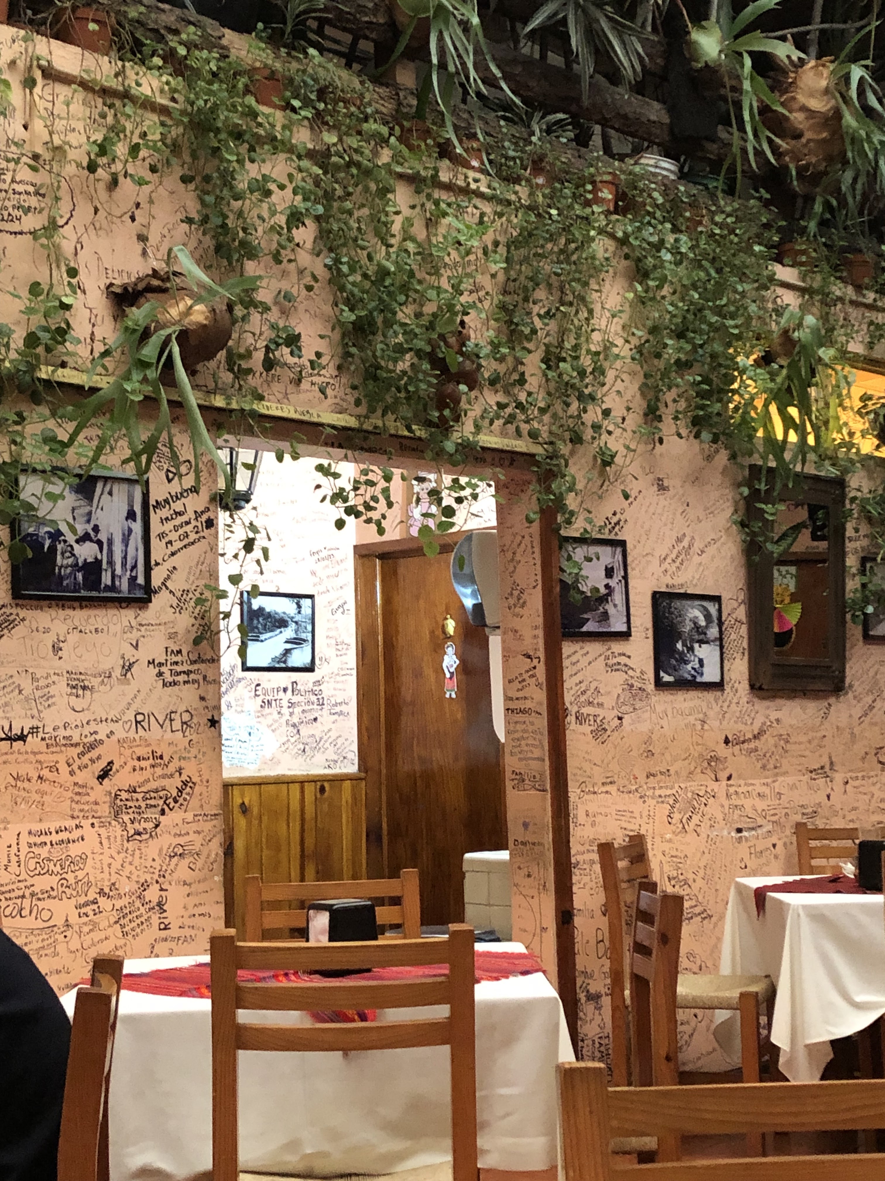 Restaurant el Tio Yeyo image 6