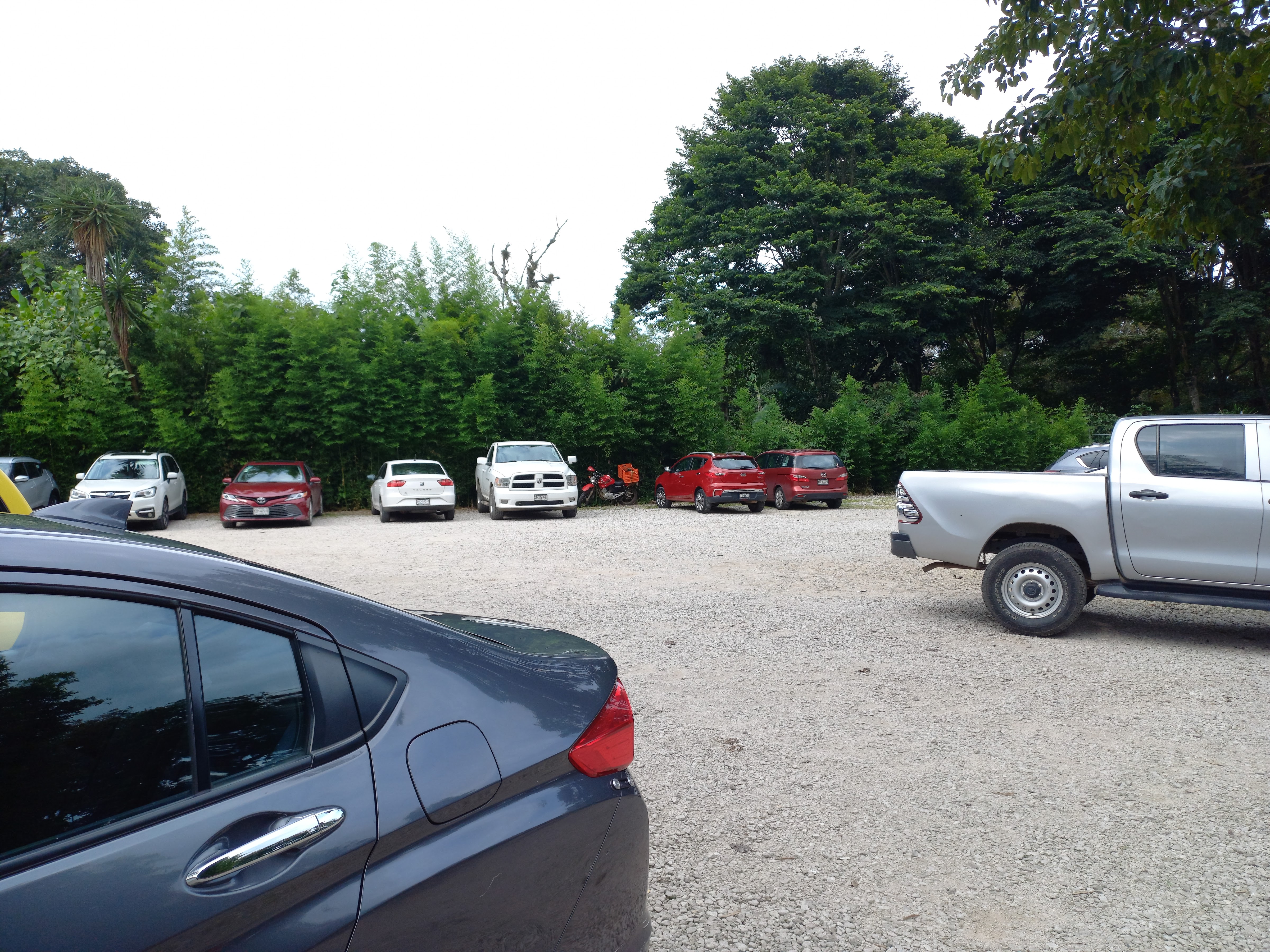 Restaurante Texin image 7