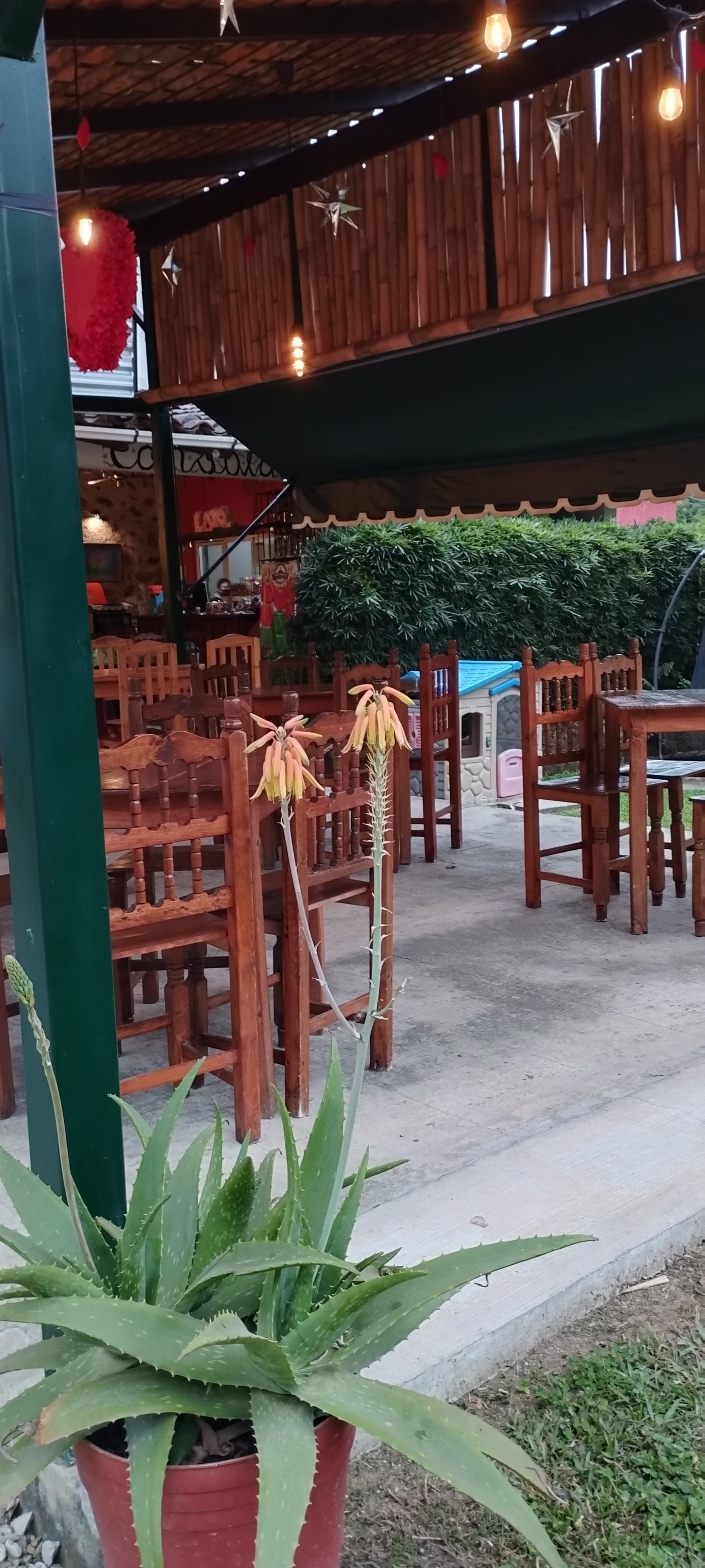RESTAURANT CAMPESTRE CONSOLAPAN image 10