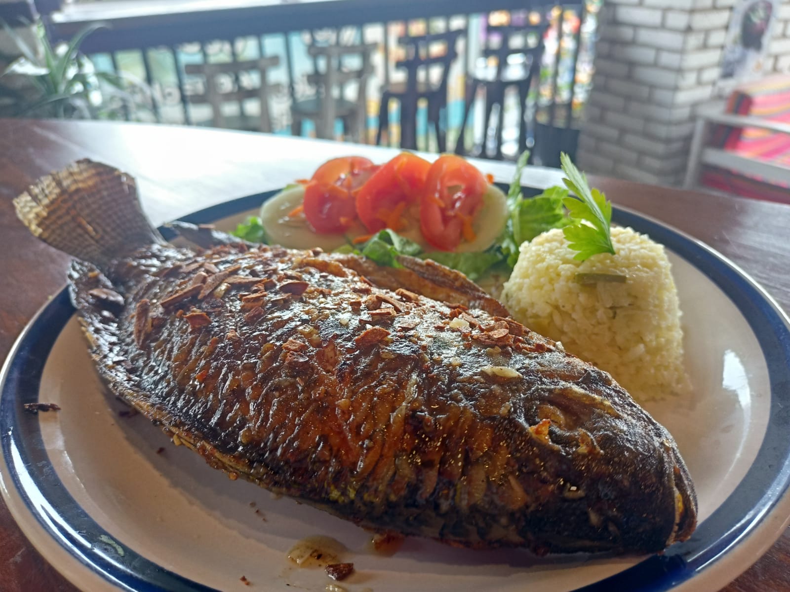 CamaronSon Los Lagos image 7