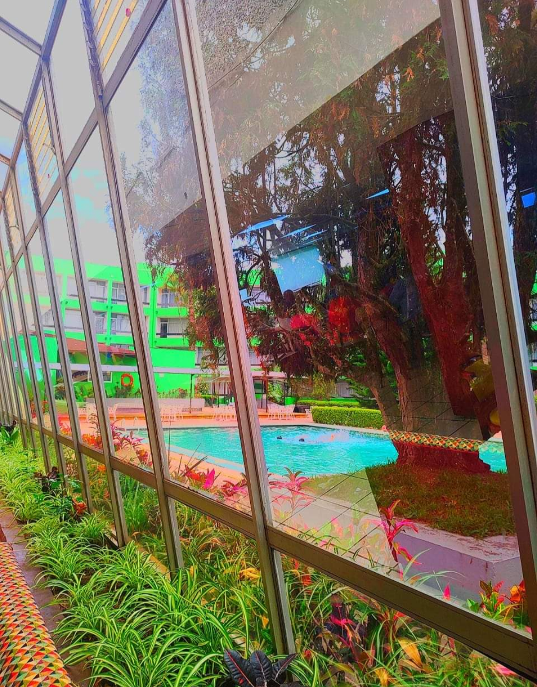 Mocafetos Restaurante image 5