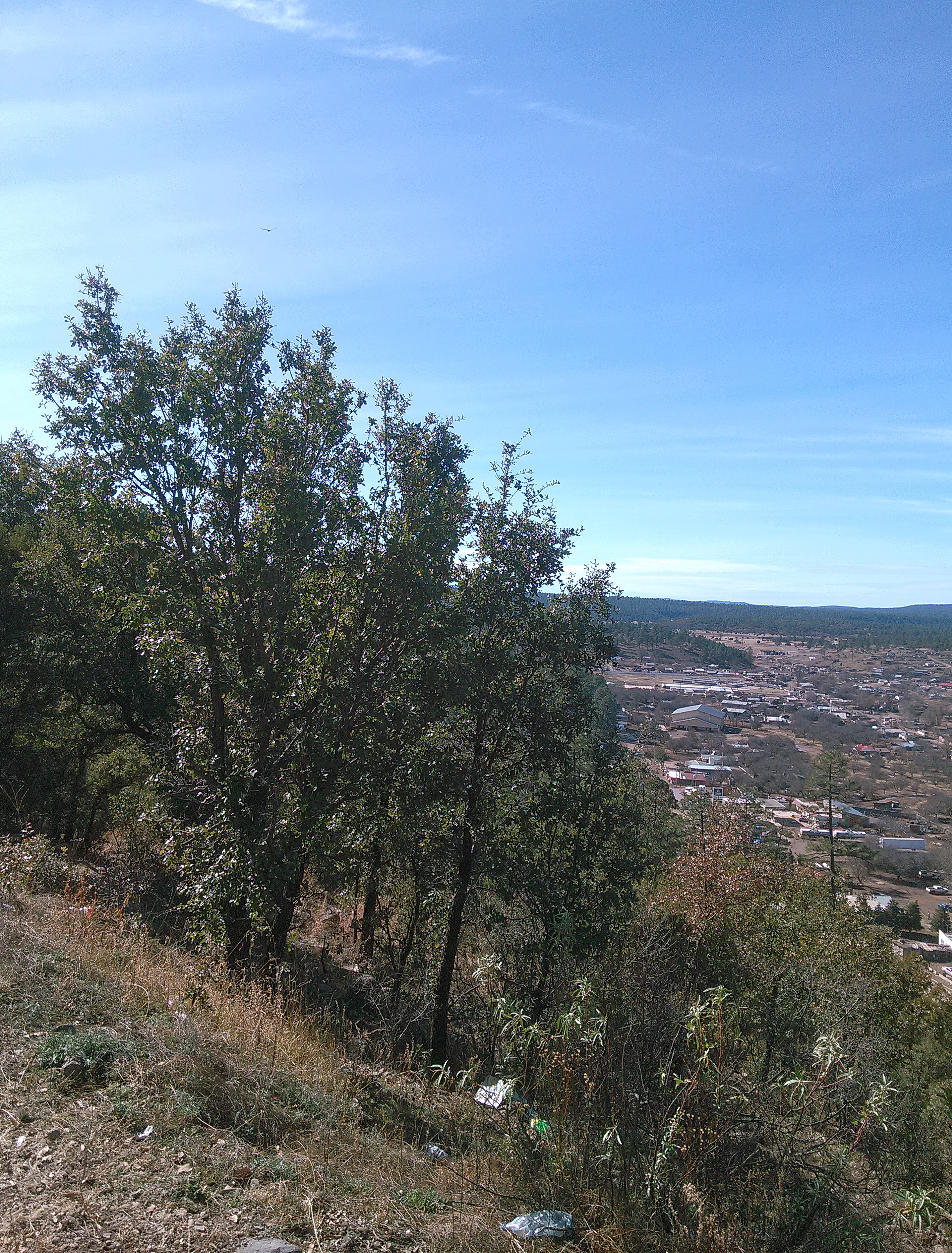 Restauran La Casona image 2