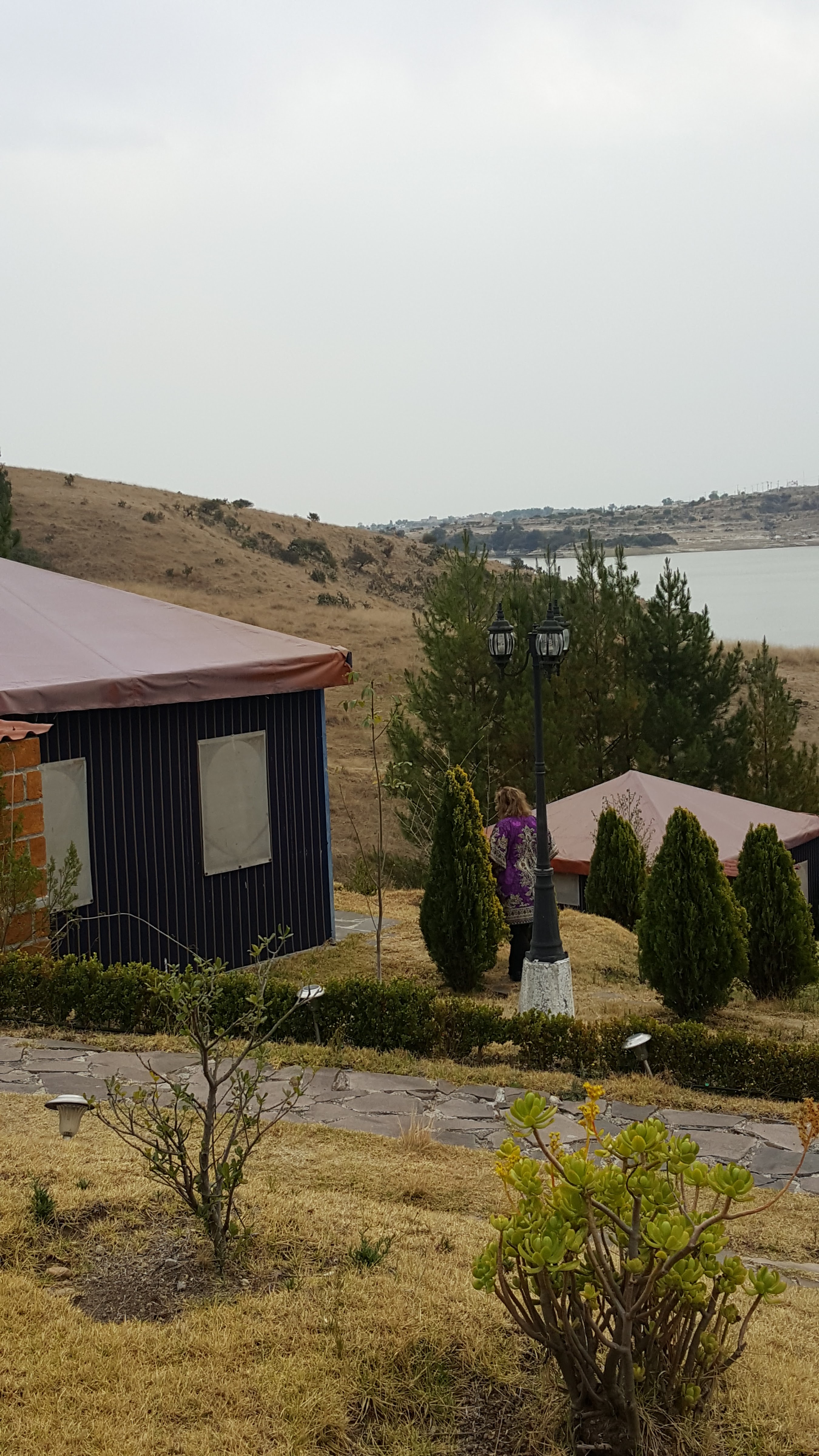 El Jardin de MI Casa image 2