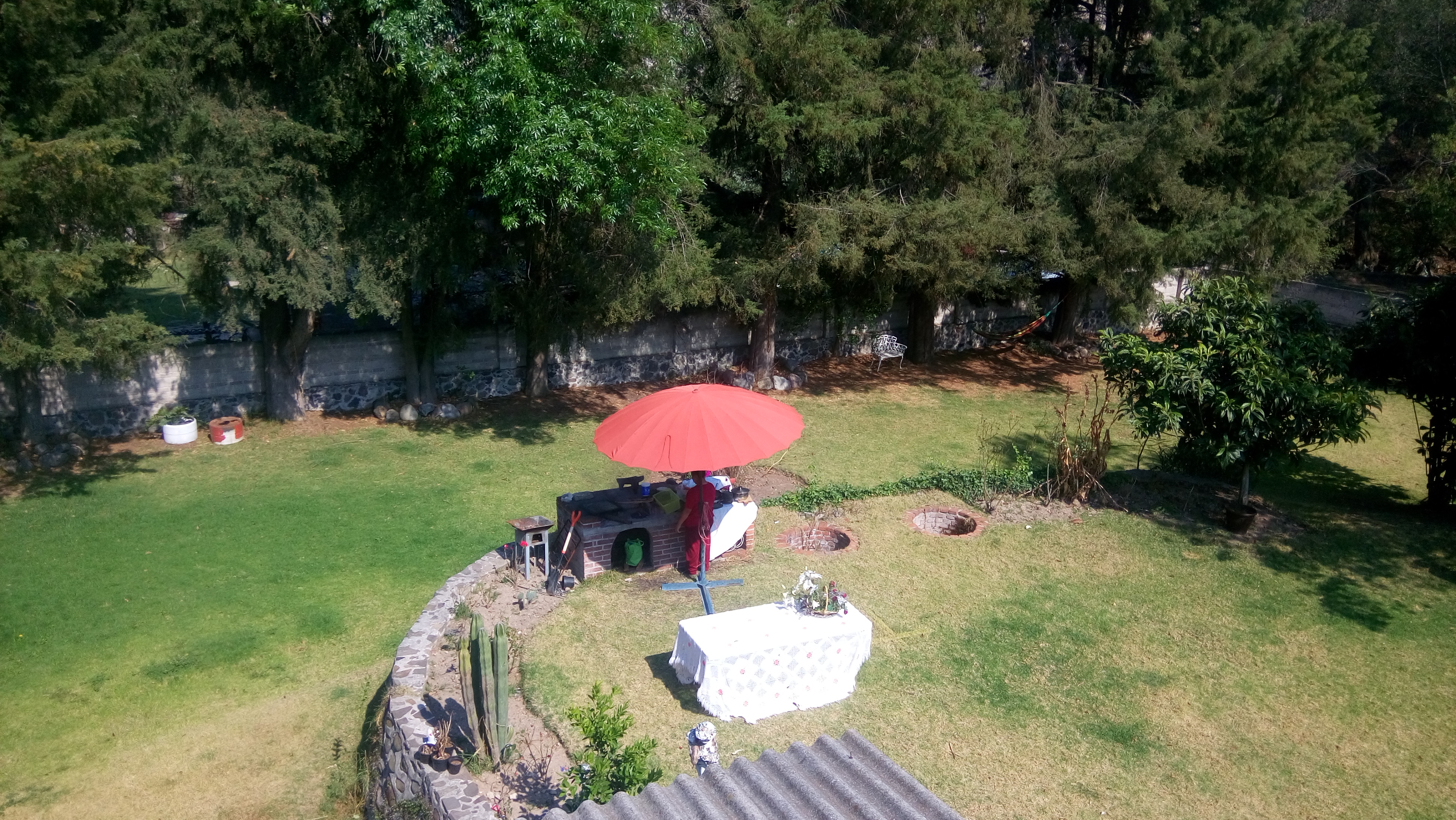 El Jardin de MI Casa image 4