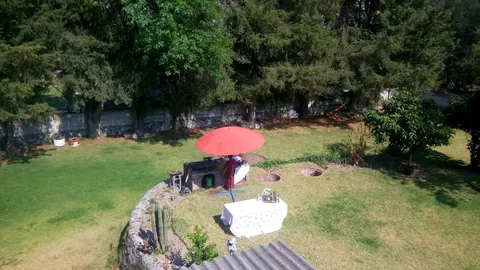 El Jardin de MI Casa image 4