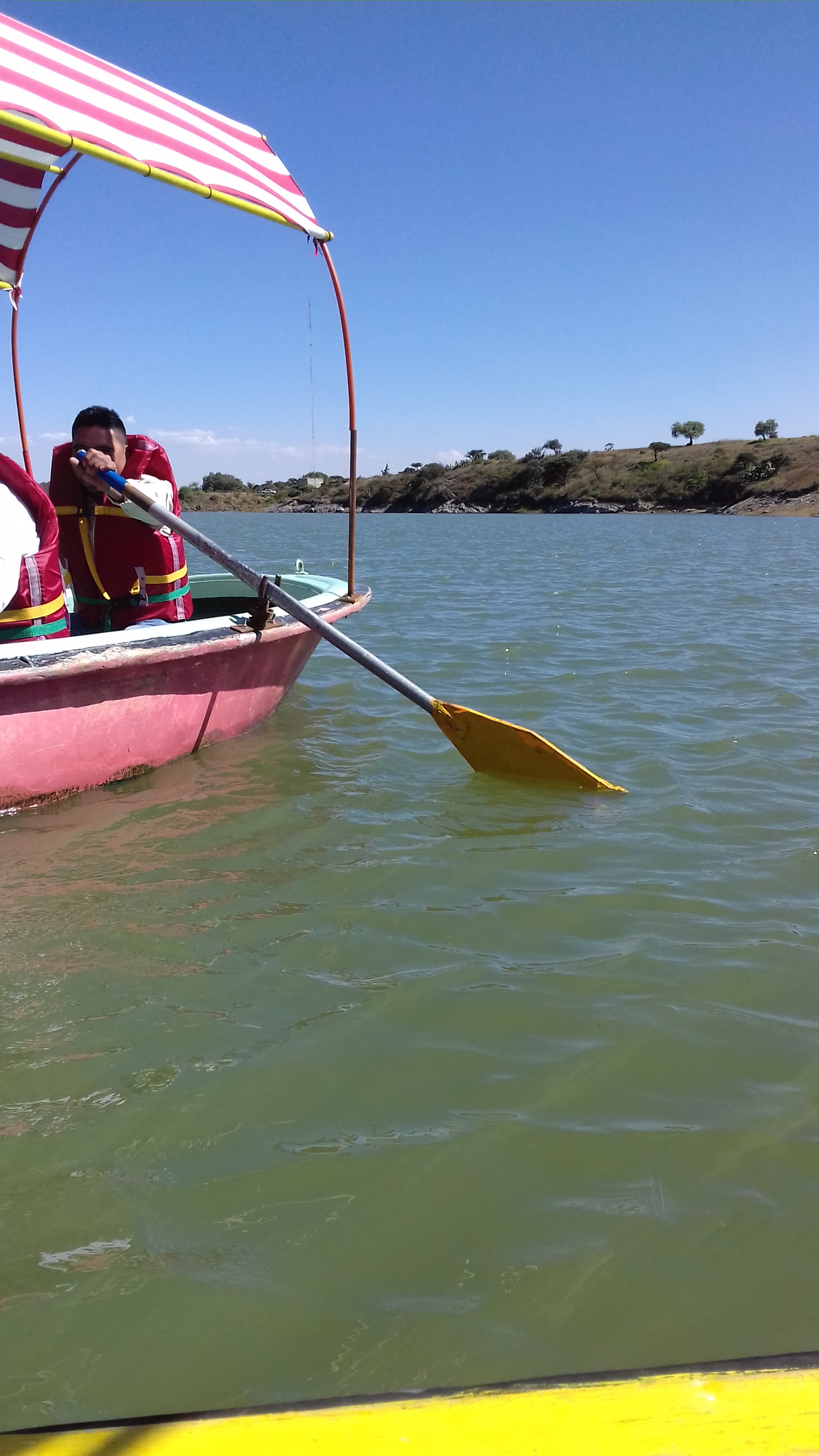 El Jardin de MI Casa image 7