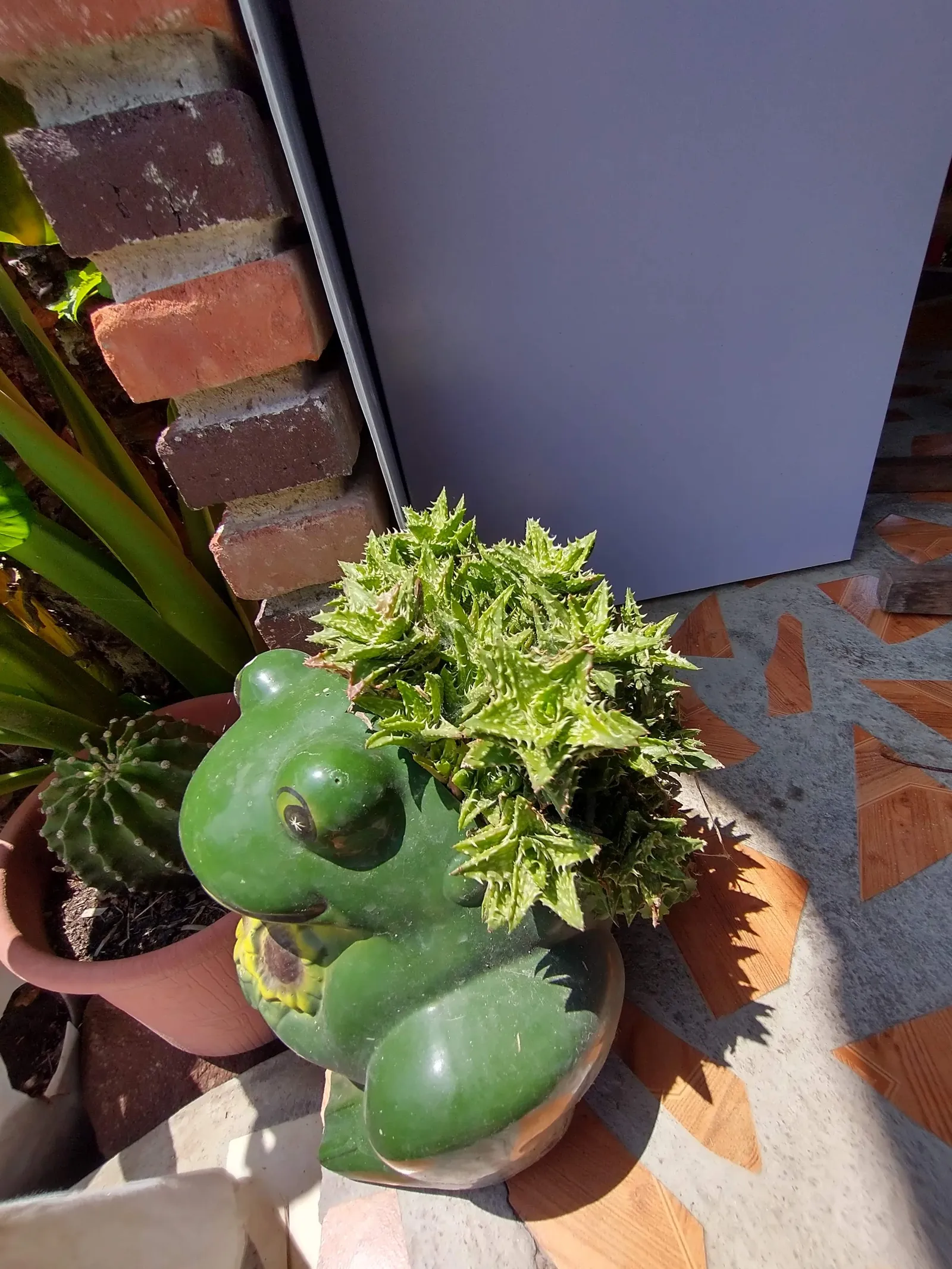 El Axolotl image 8