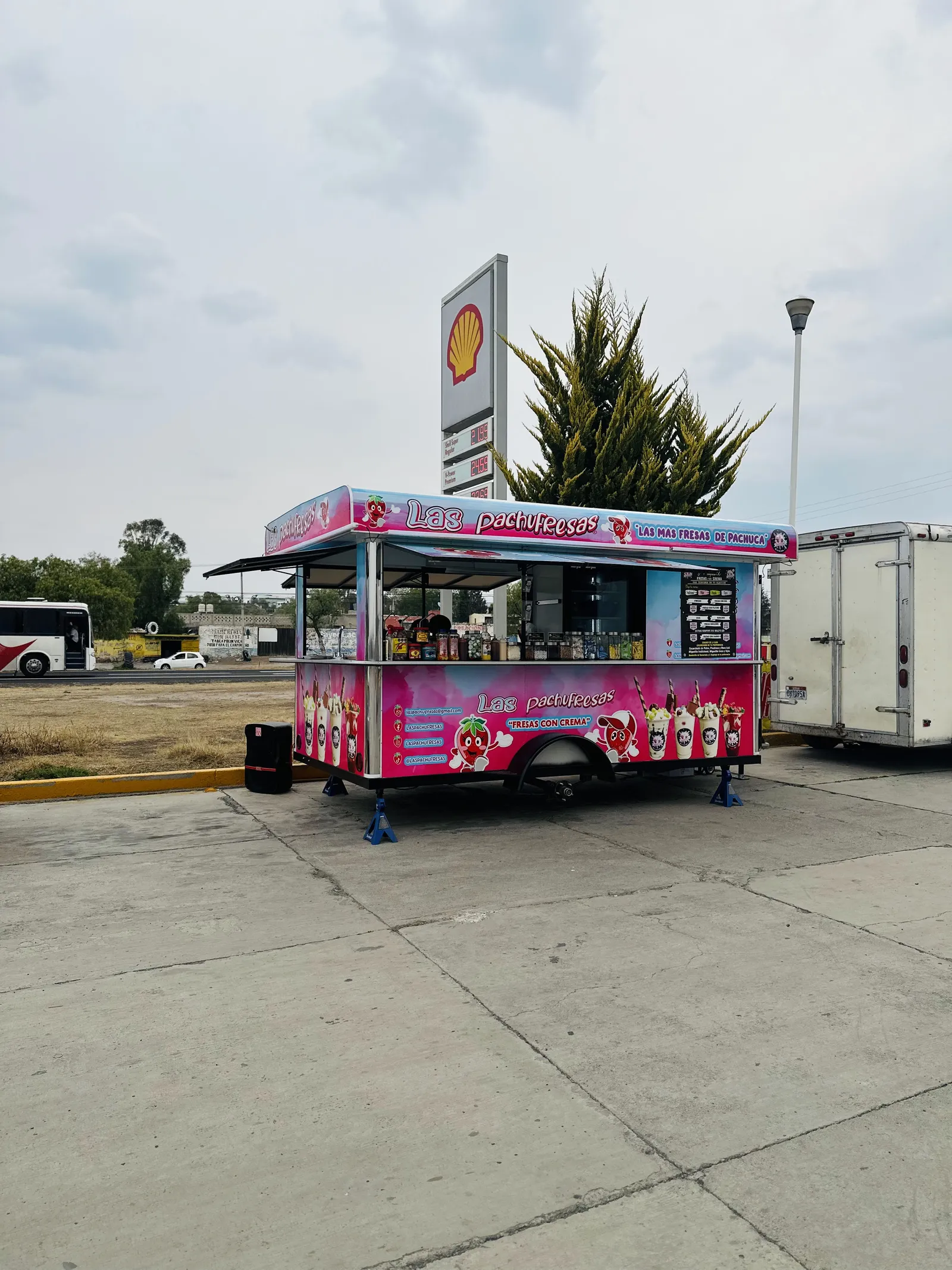 Las Pachufresas image 3