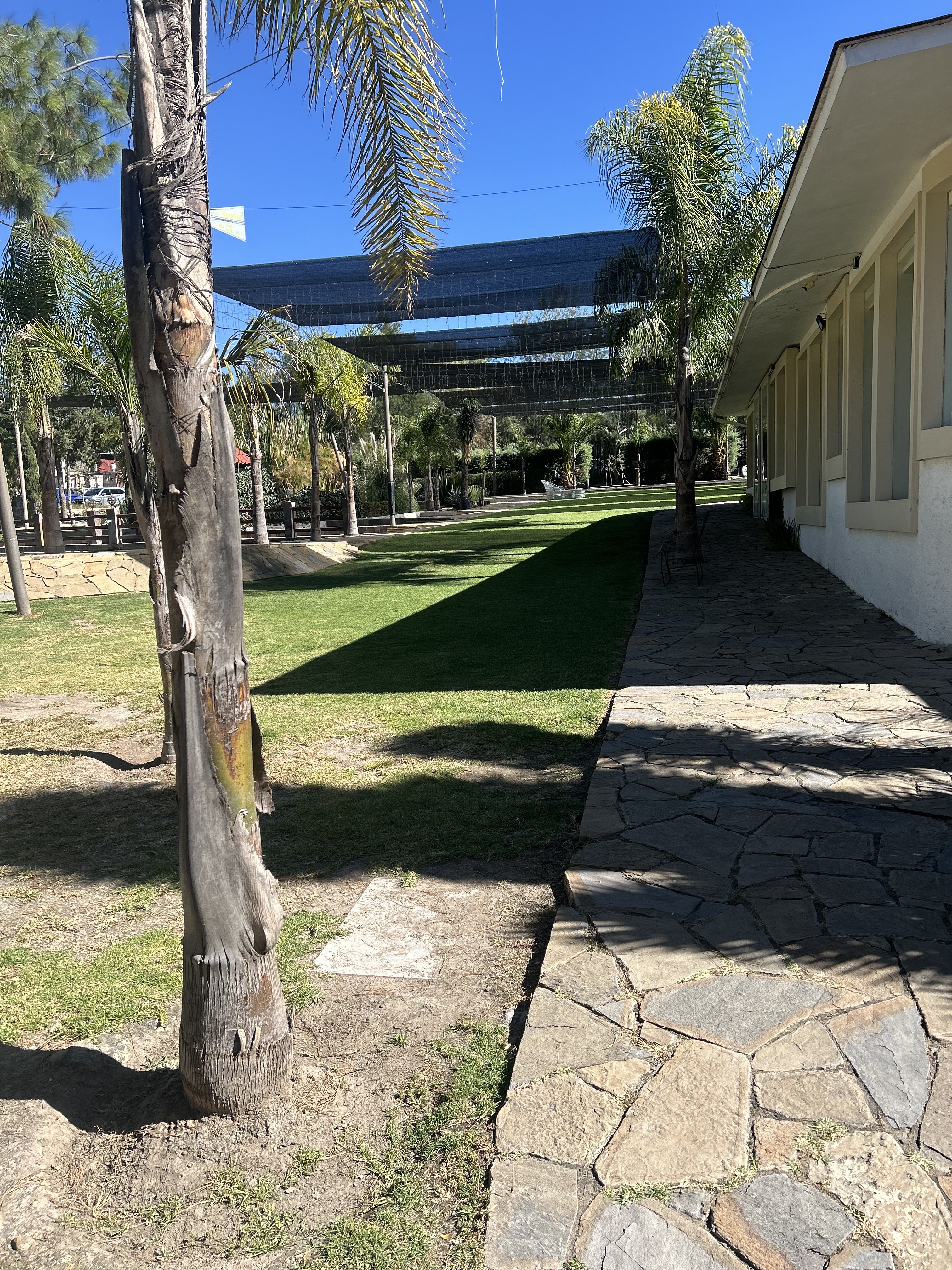 Restaurante & Salón San Pedro Huaquilpan image 9