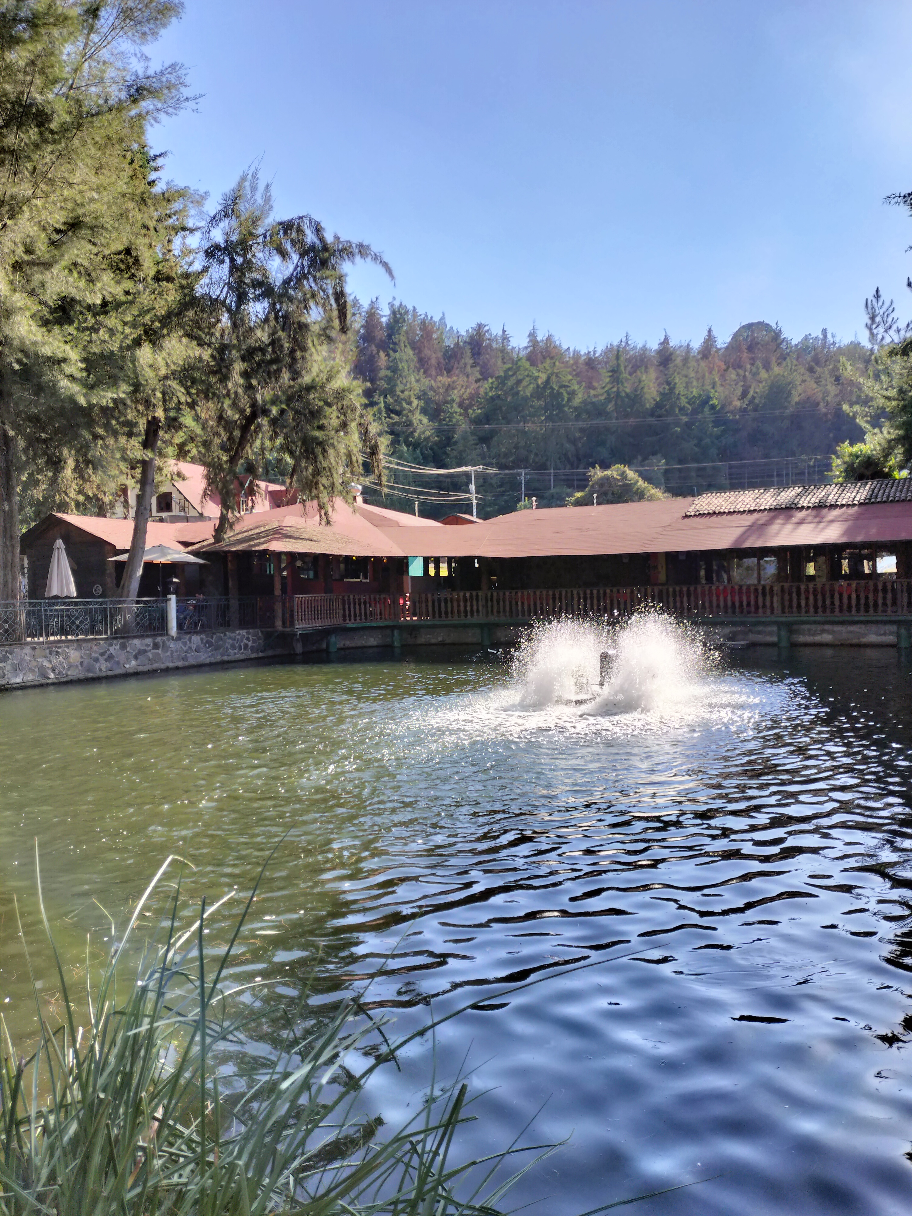 Campestre Alemán image 4