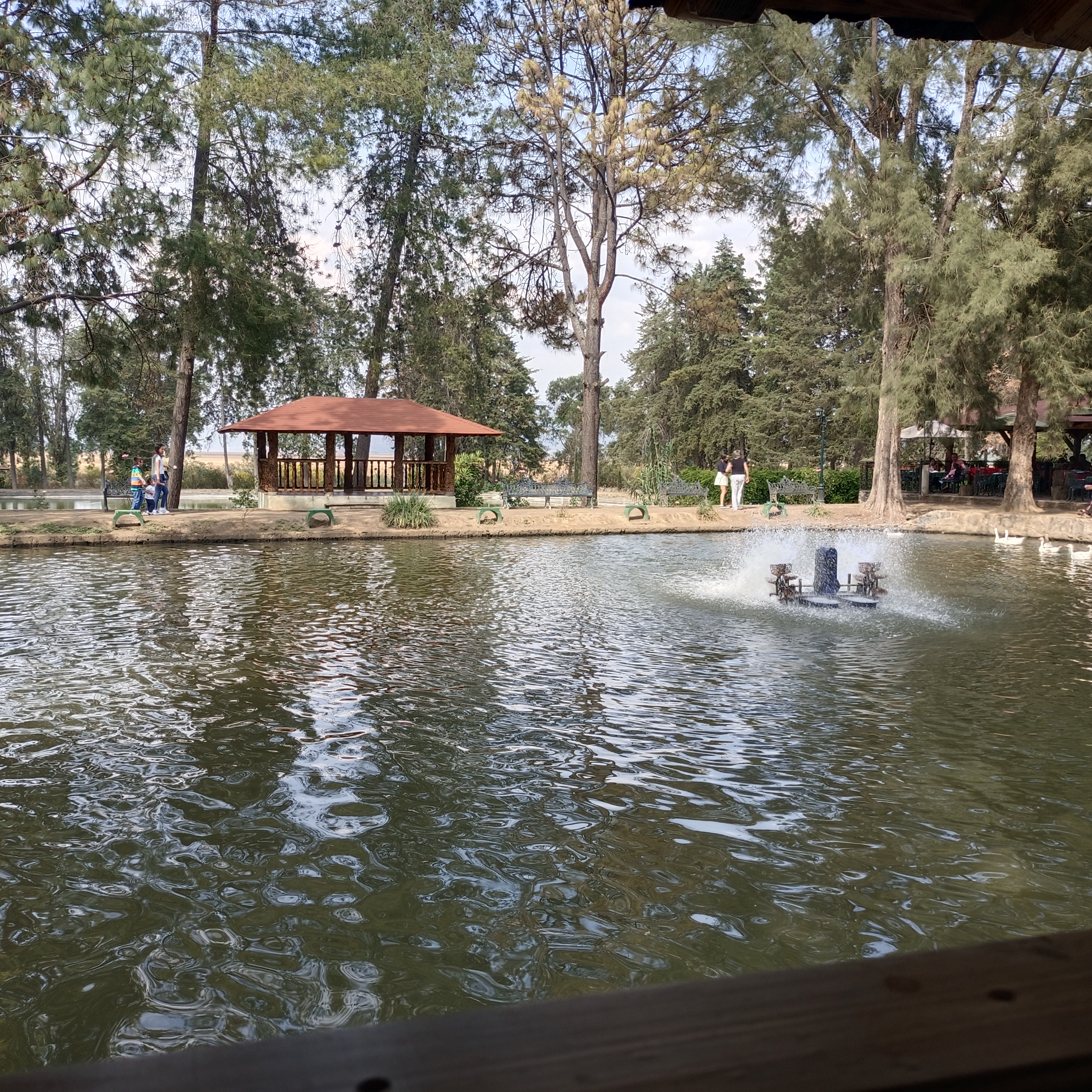 Campestre Alemán image 6