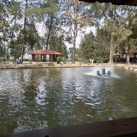 Campestre Alemán image 6