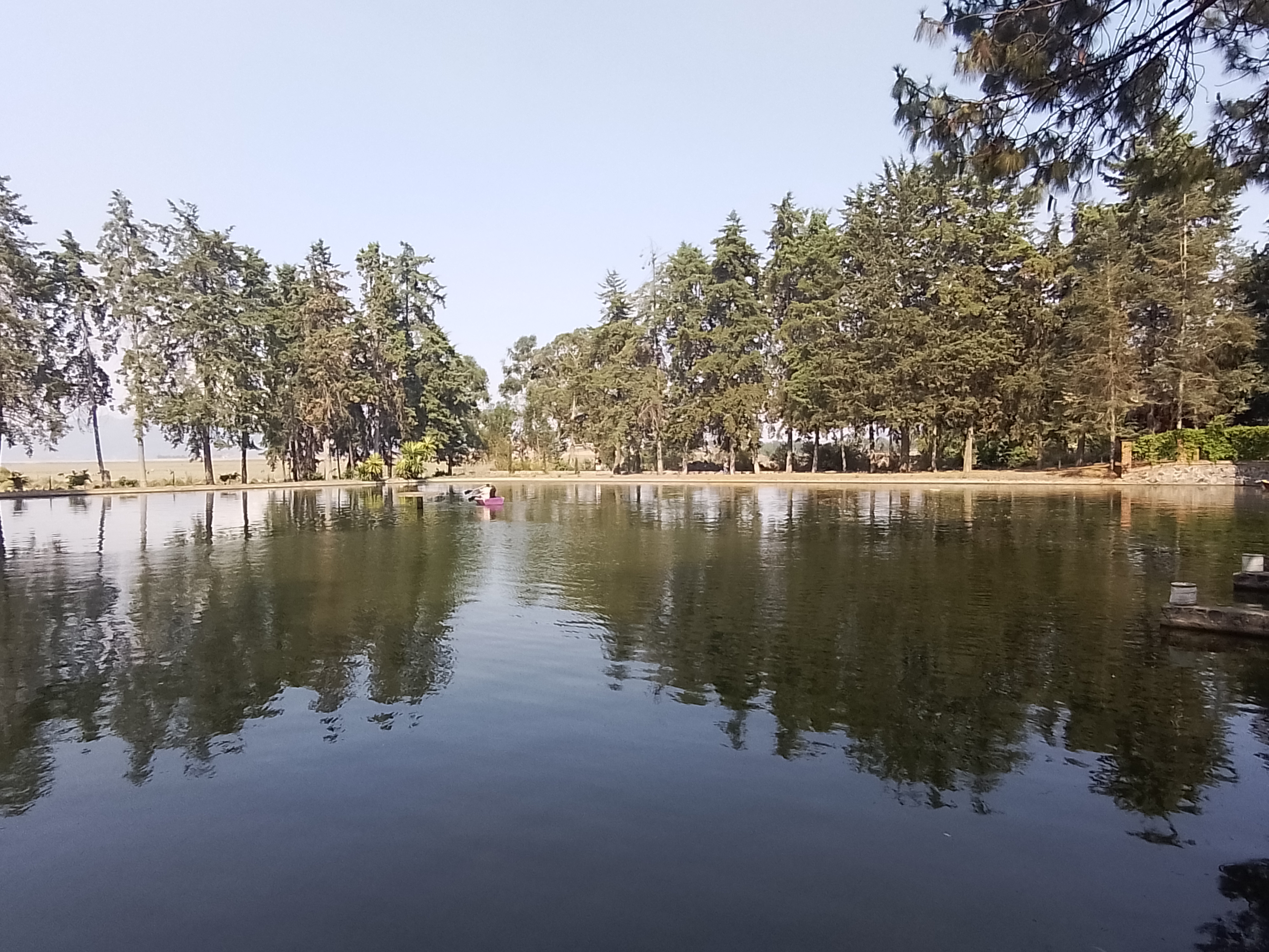 Campestre Alemán image 7