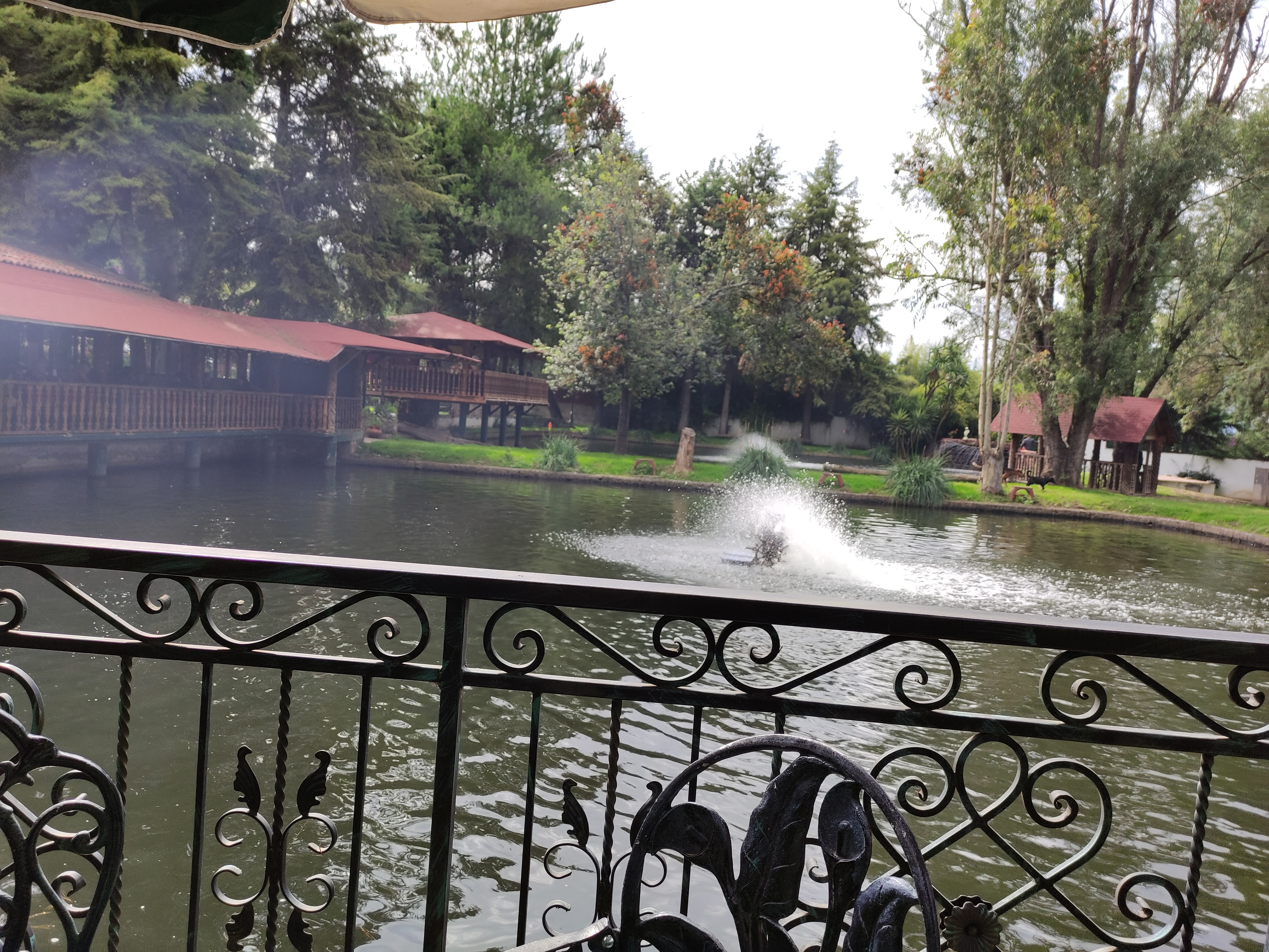 Campestre Alemán image 9