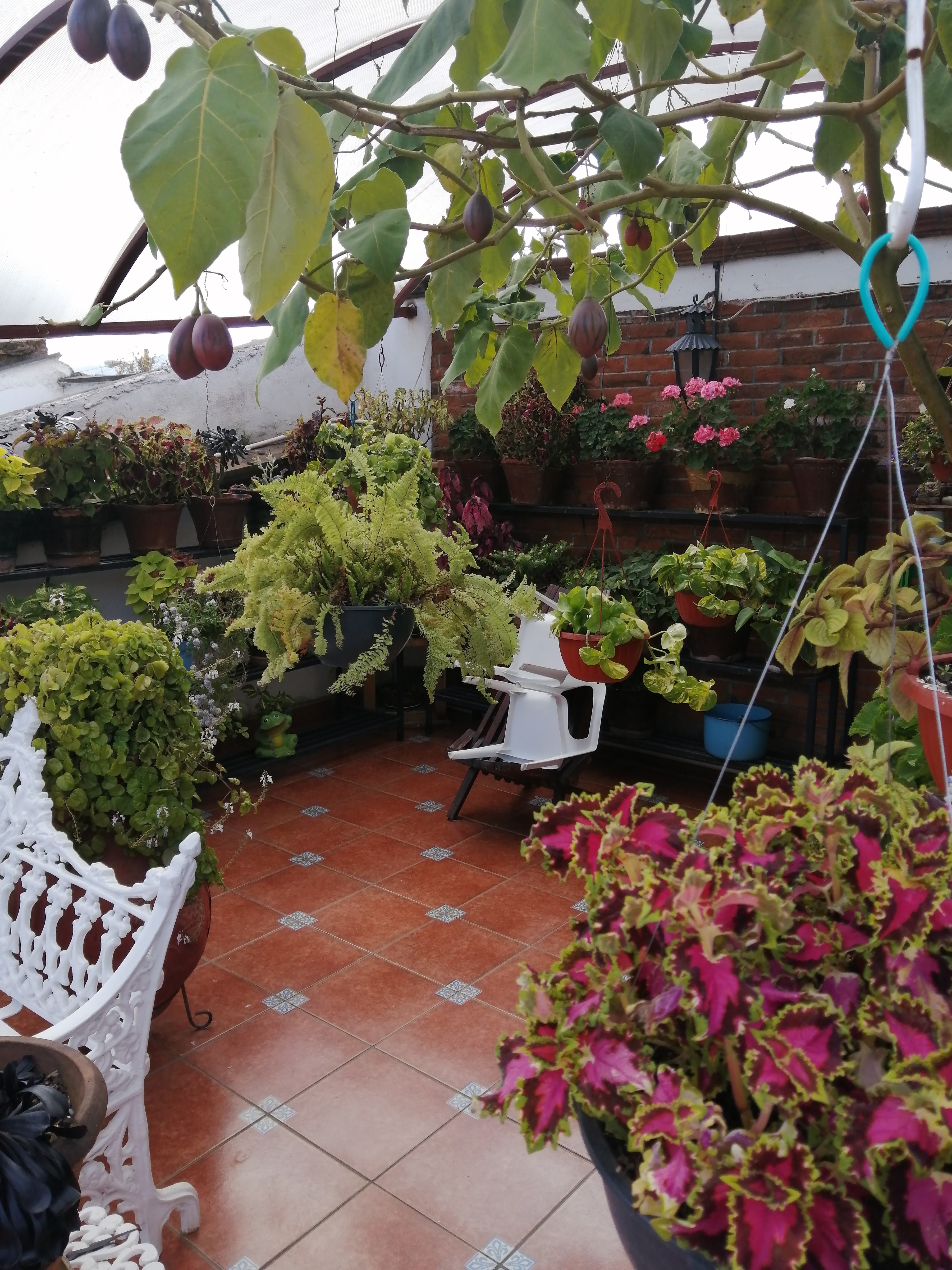 Restaurante Doña Mary image 6