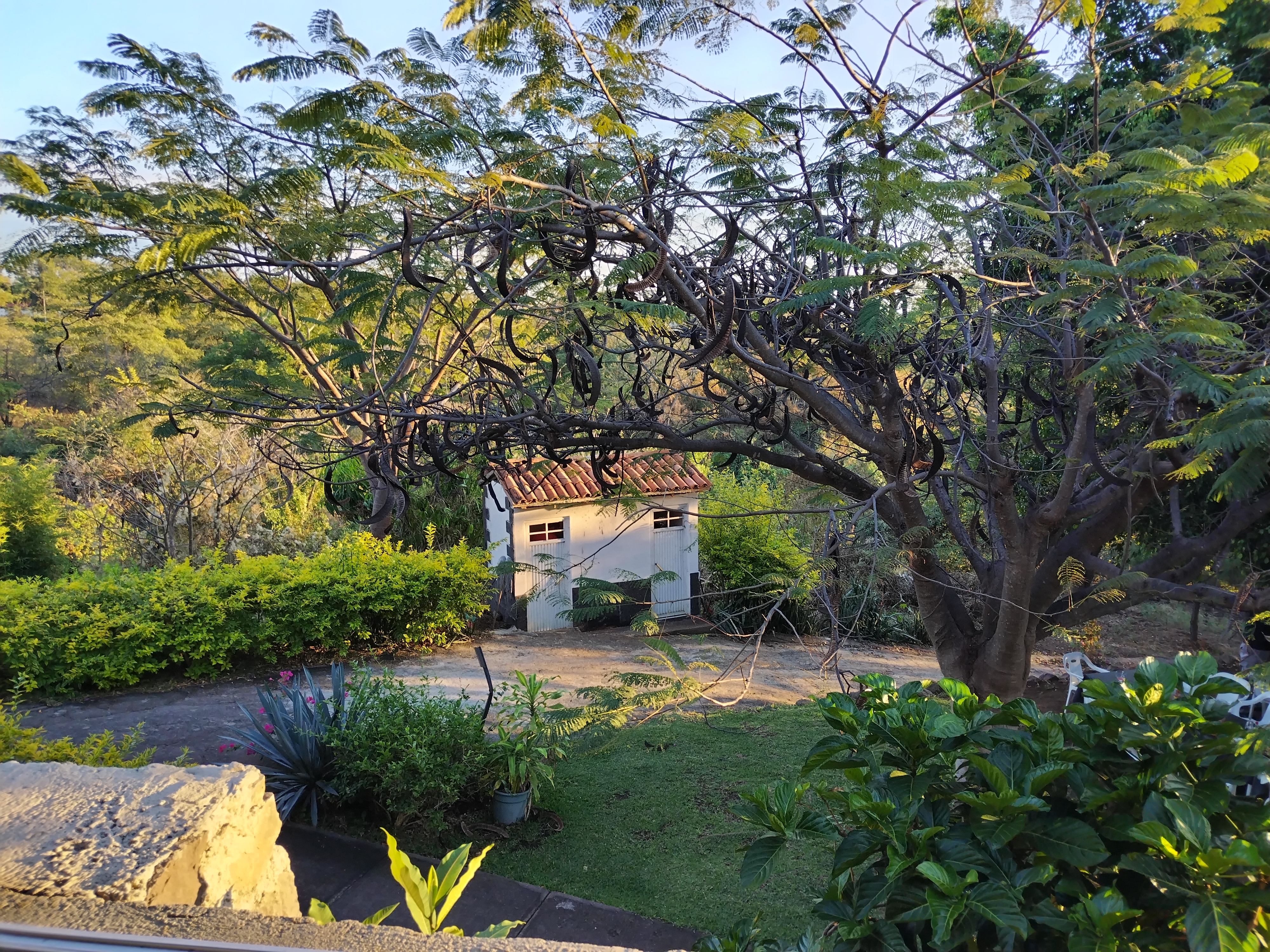 Restaurant La Cascada Tateran Michoacan image 10