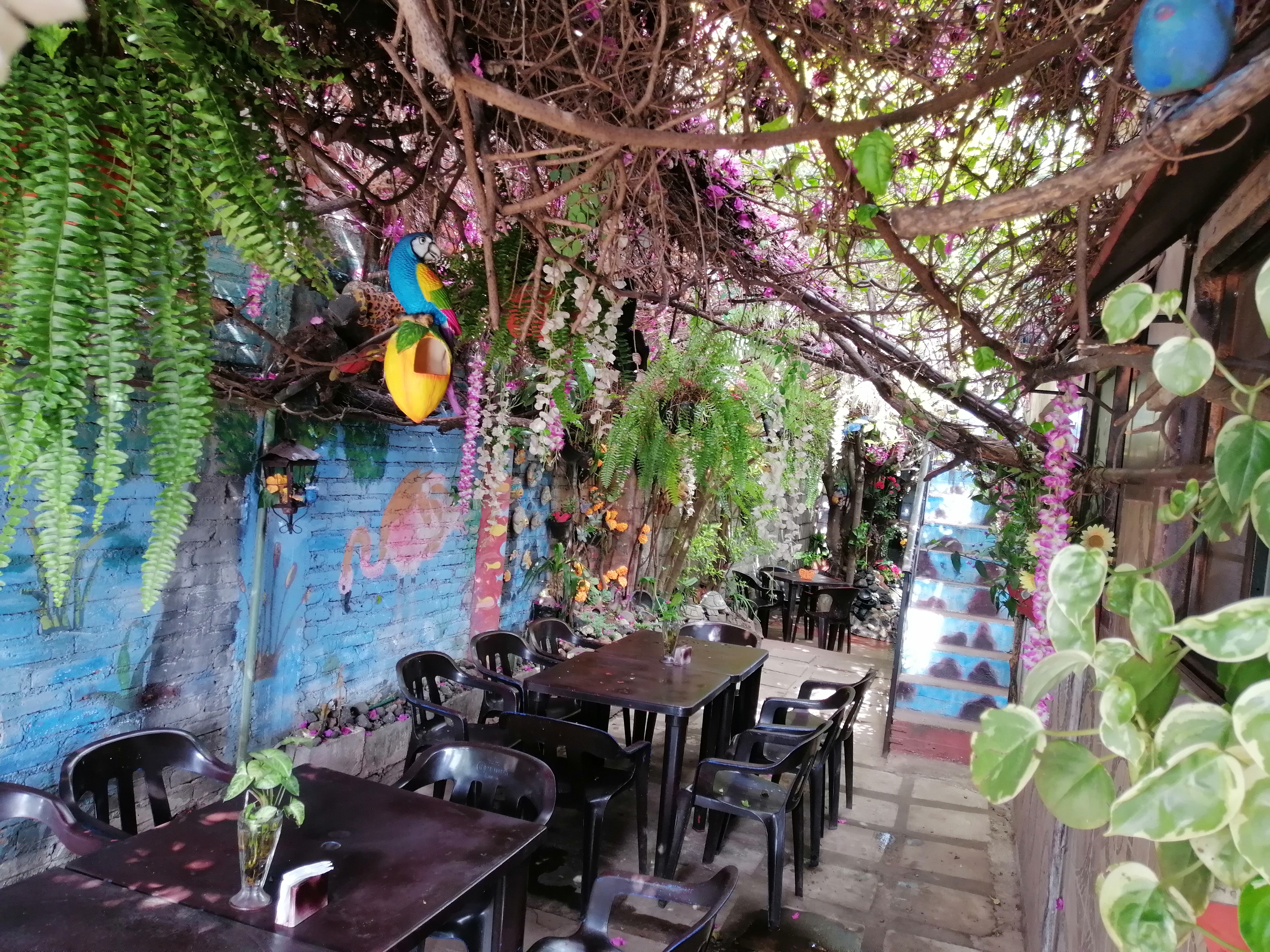 Lago Azul Restaurante image 8