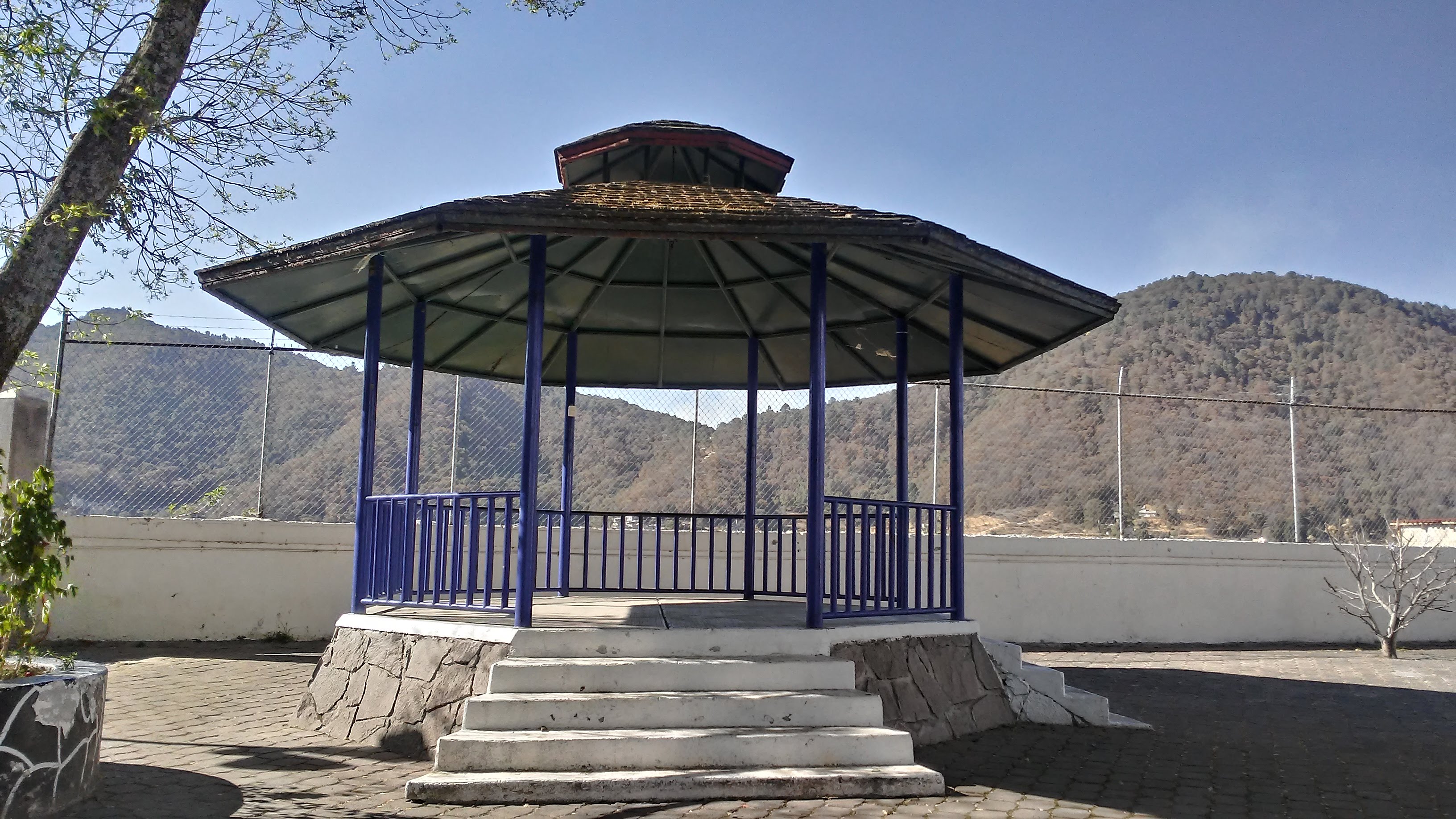 RICA BARBACOA "Rafa" image 6