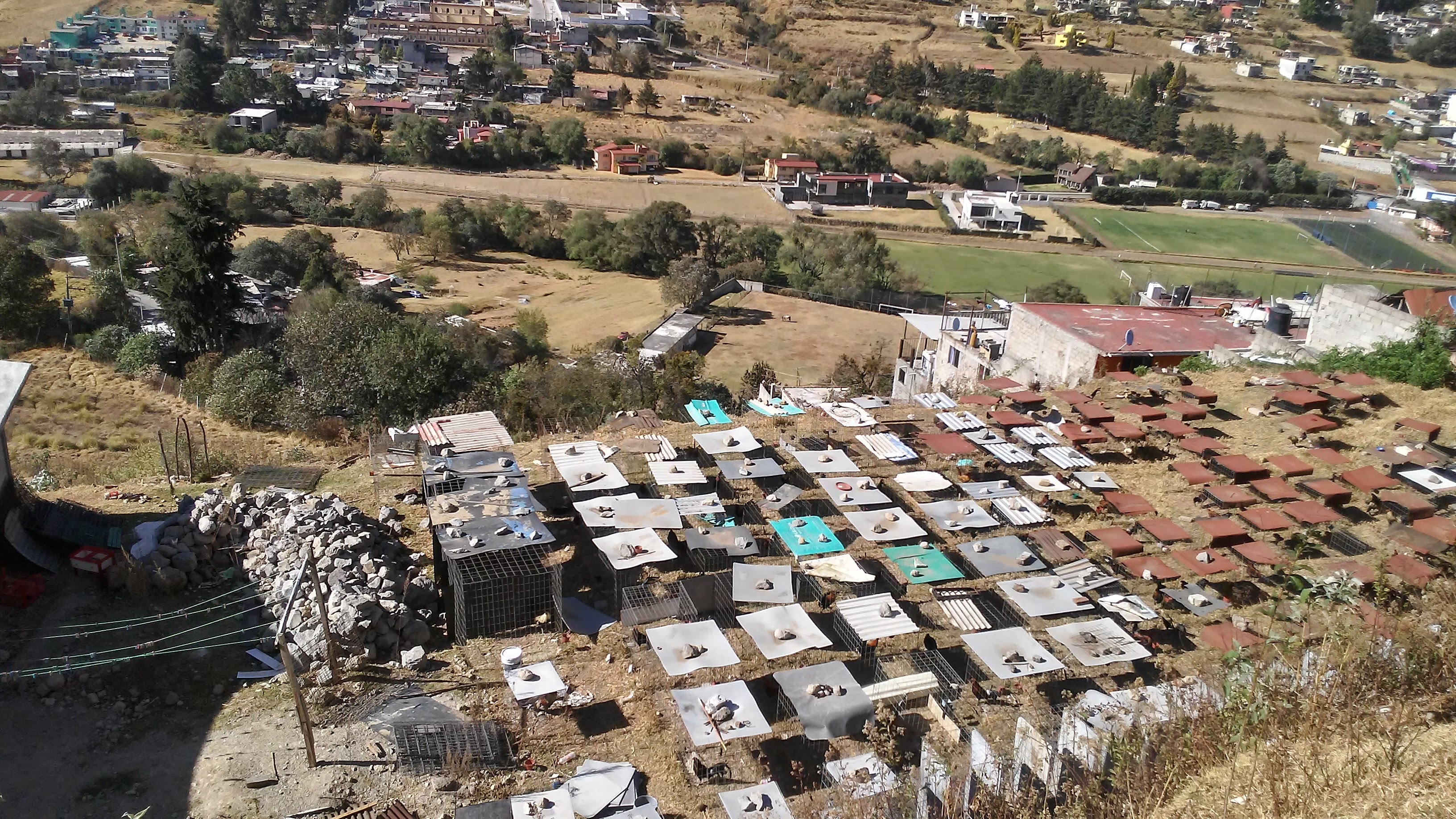 RICA BARBACOA "Rafa" image 7