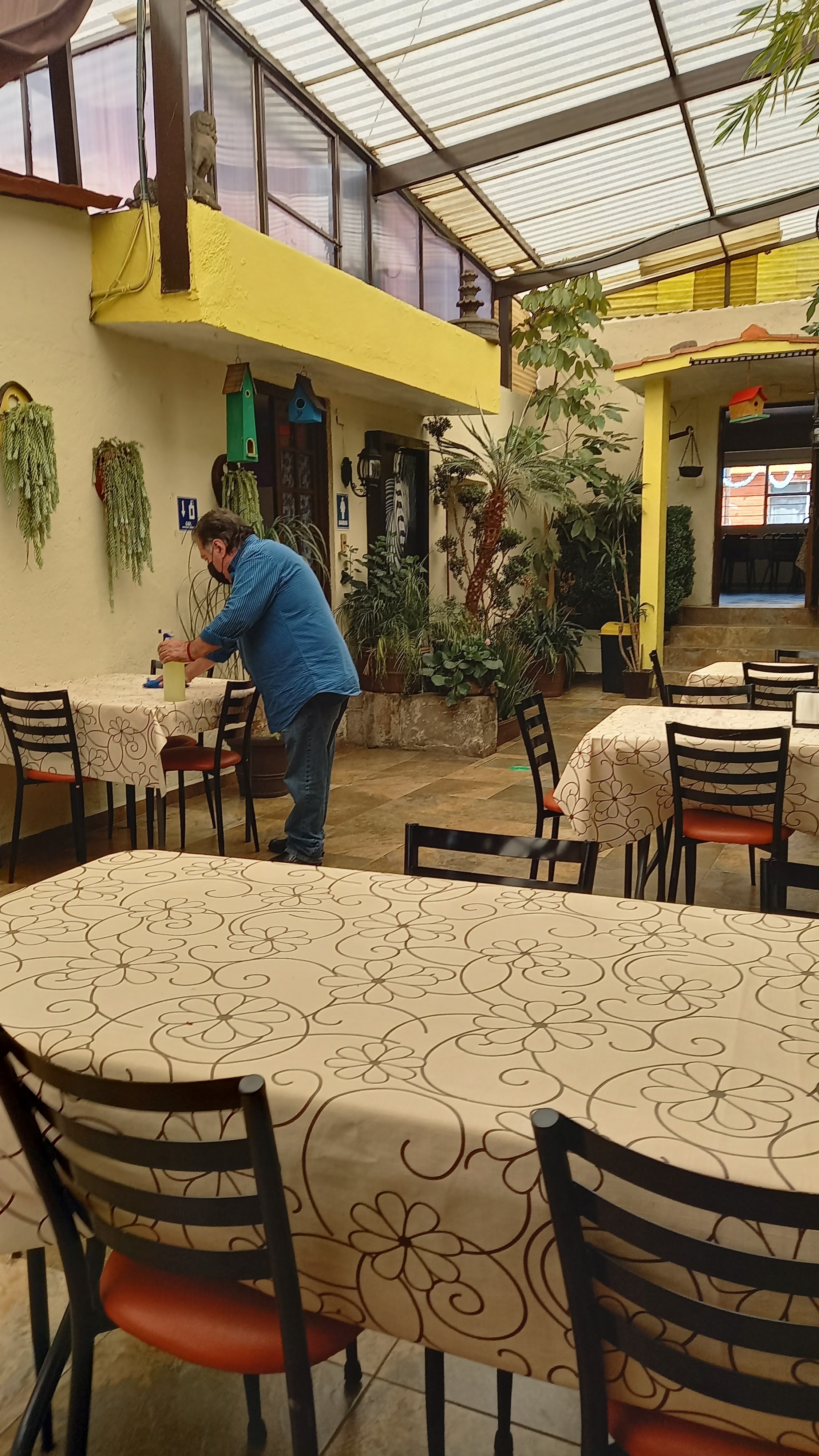 El Tío Filio image 7