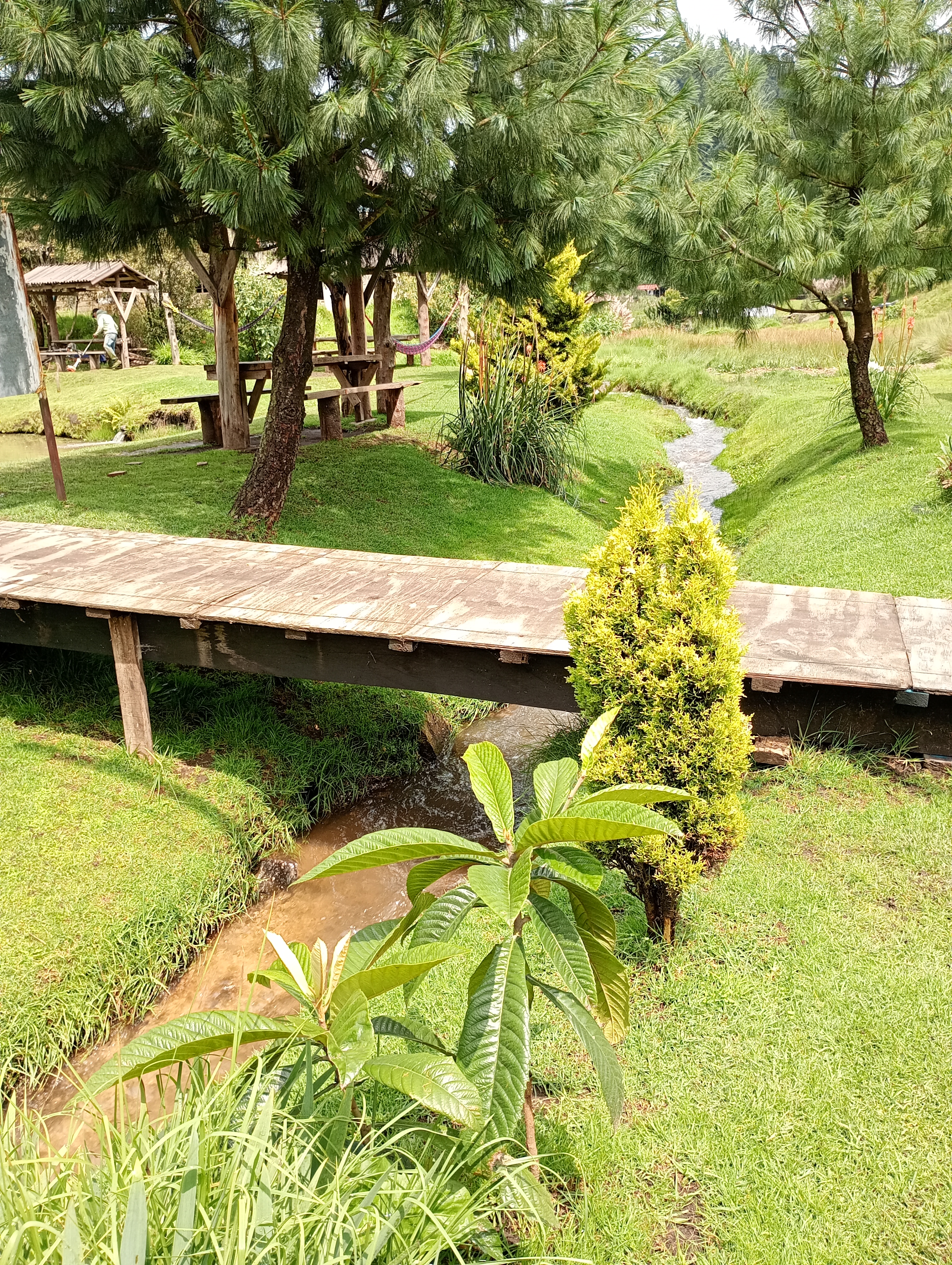 RESTAURANTE "La Rinconada " de la Marquesa image 6