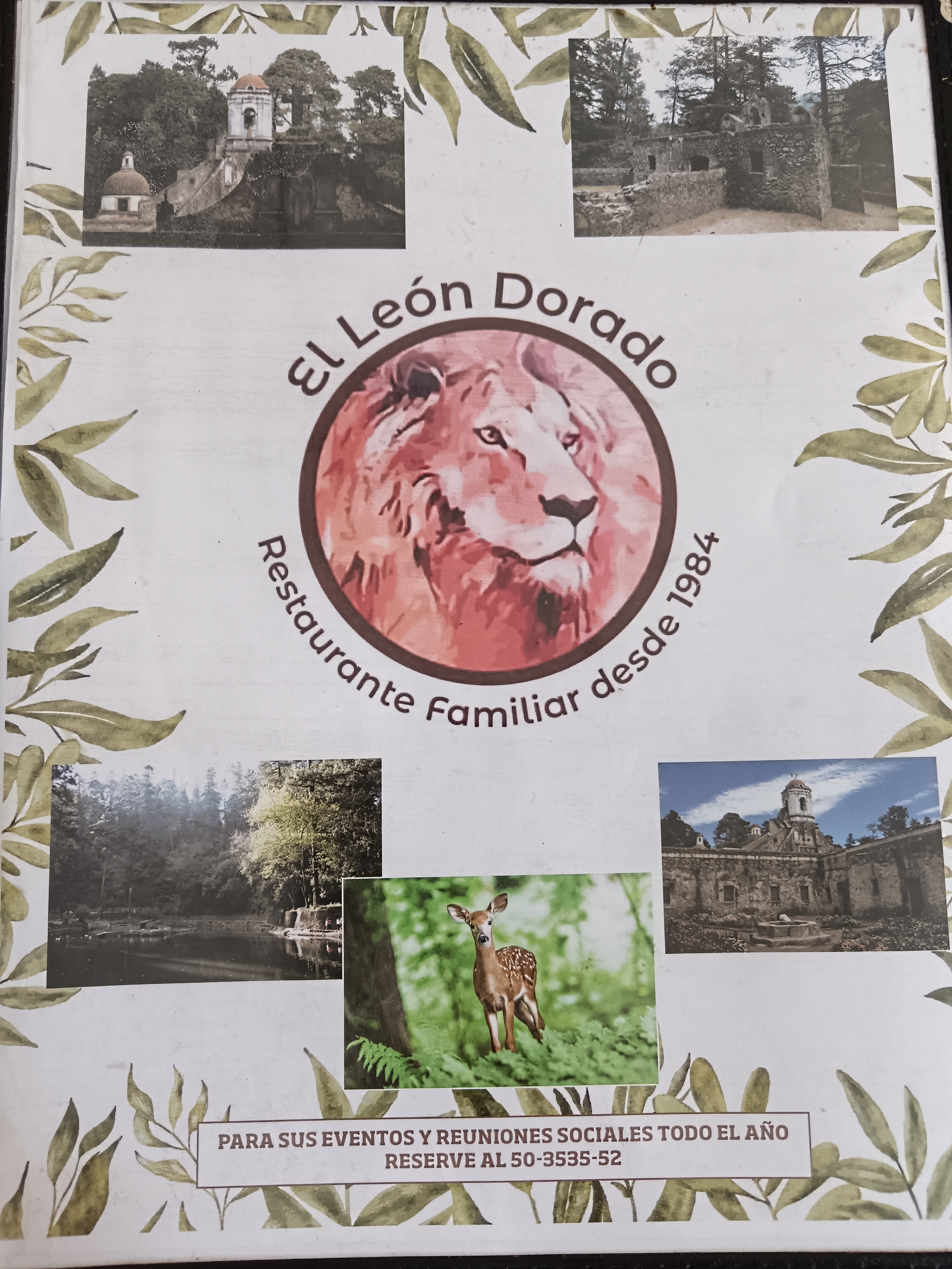 Restaurante El León Dorado image 4