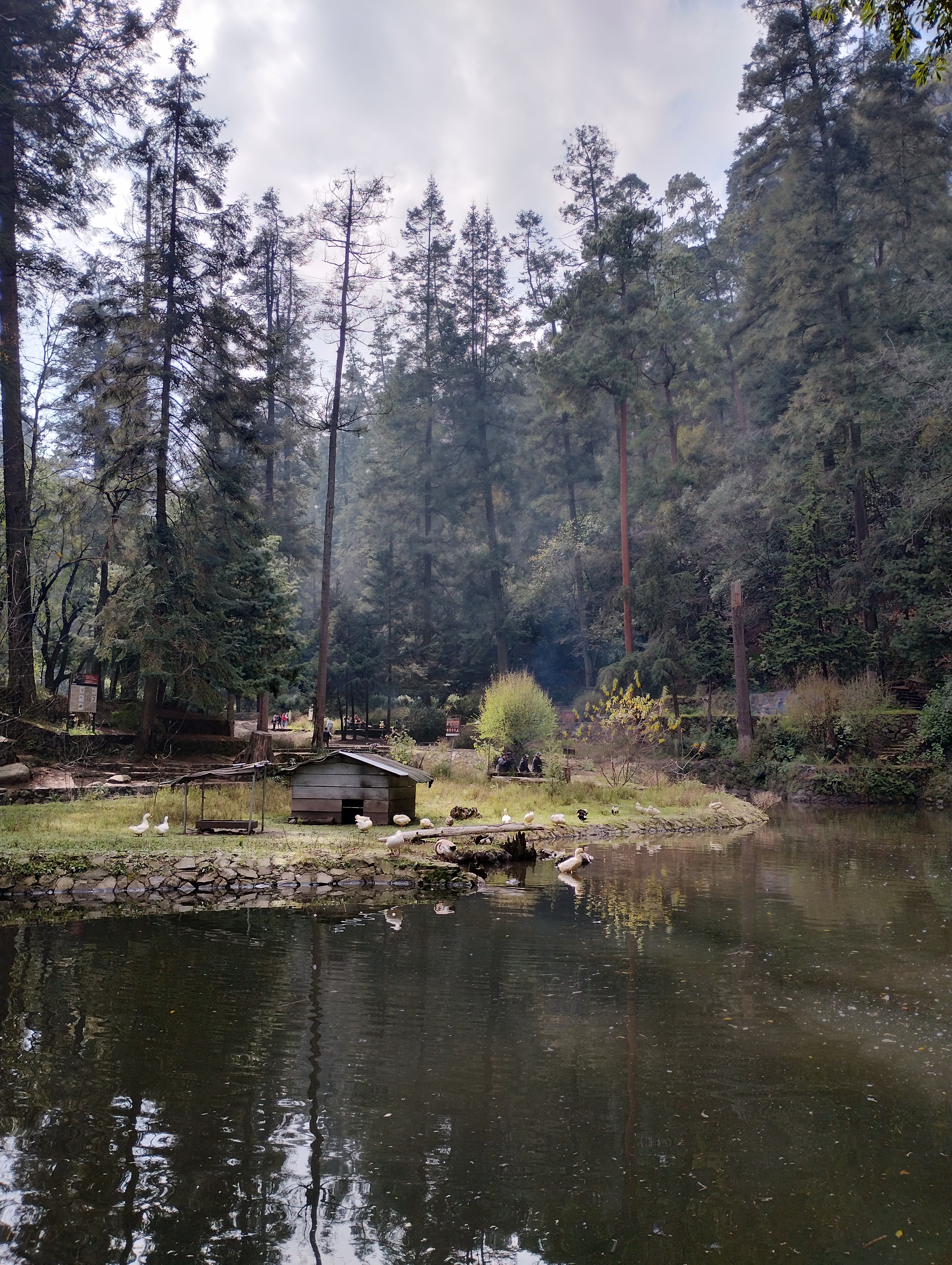 Restaurante El León Dorado image 7