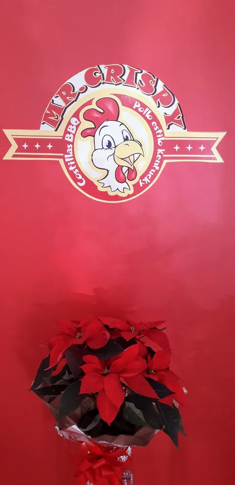 Mr. Crispy image 4