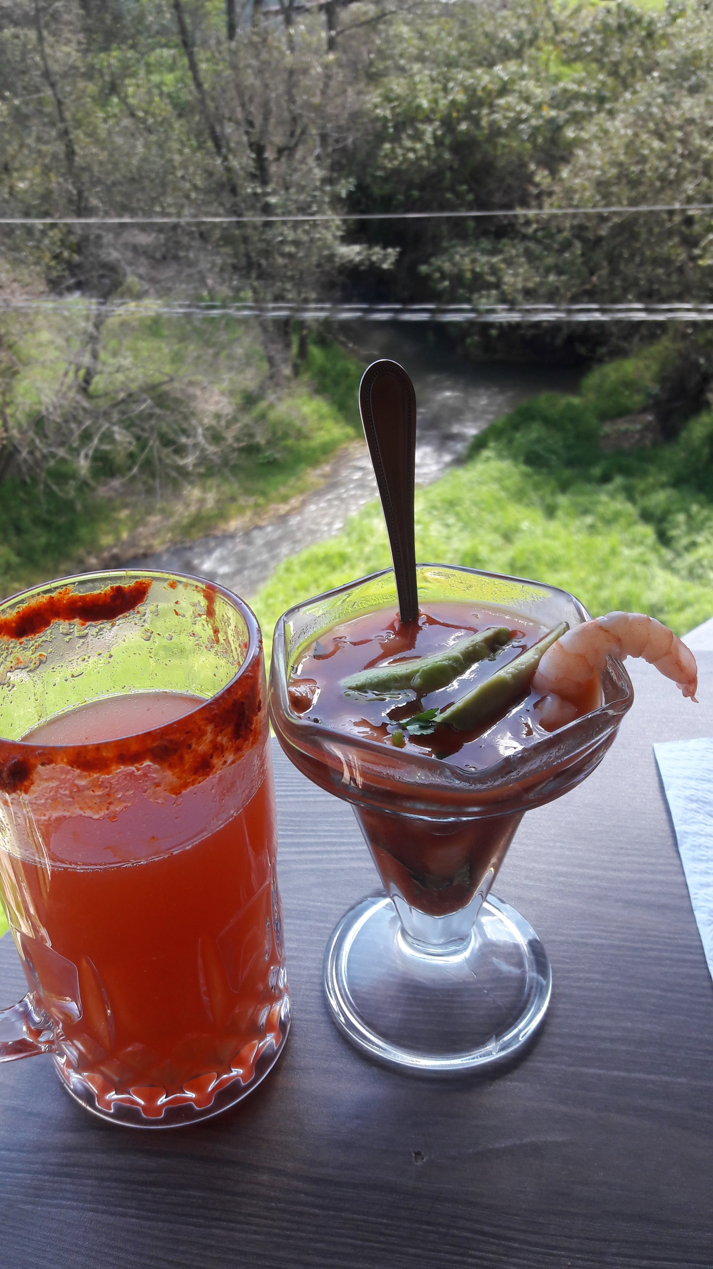Terraza restaurant PUENTE VIEJO image 3