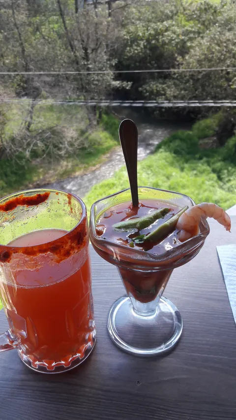 Terraza restaurant PUENTE VIEJO image 3