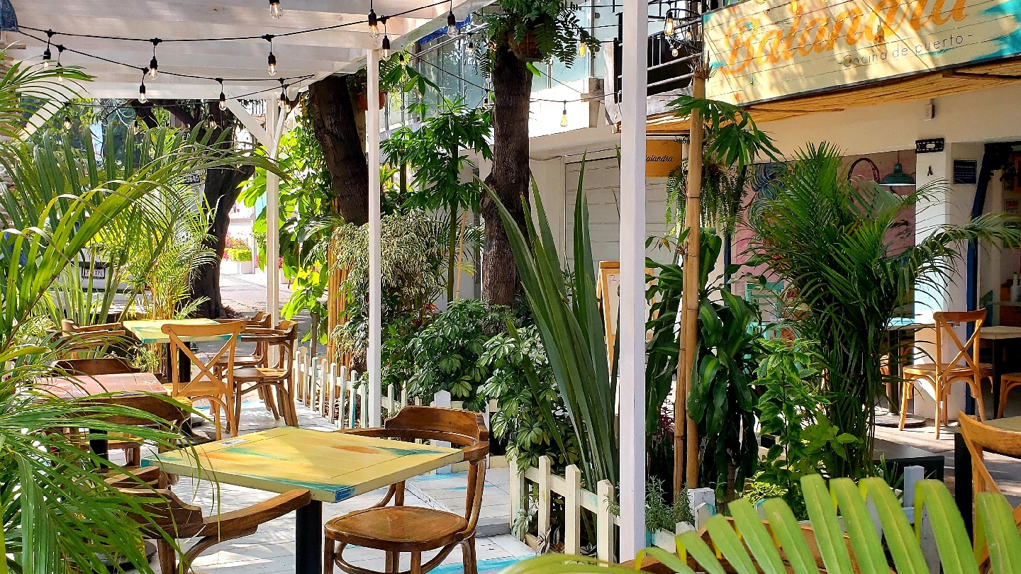 Balandra - Cocina de puerto image 1