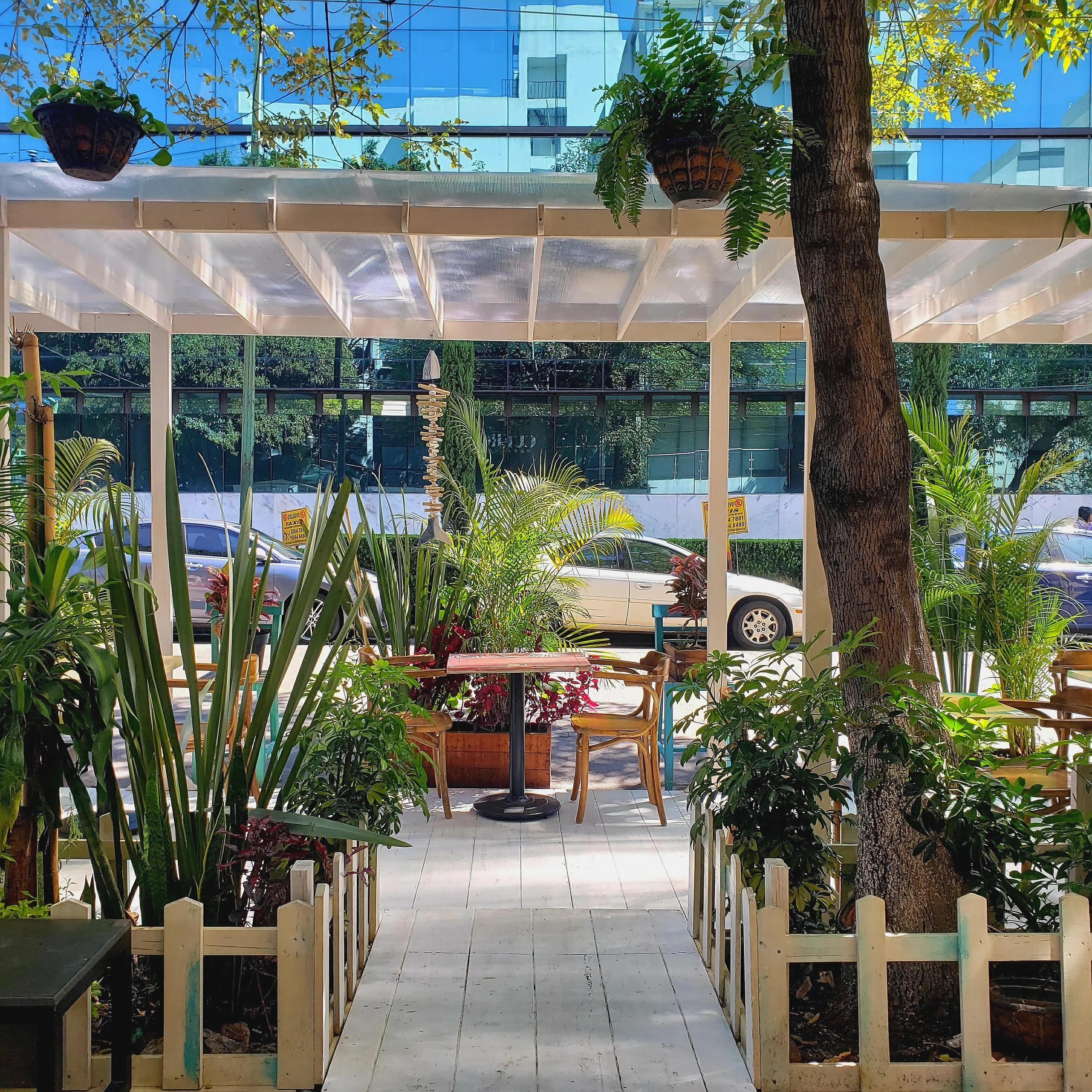 Balandra - Cocina de puerto image 6