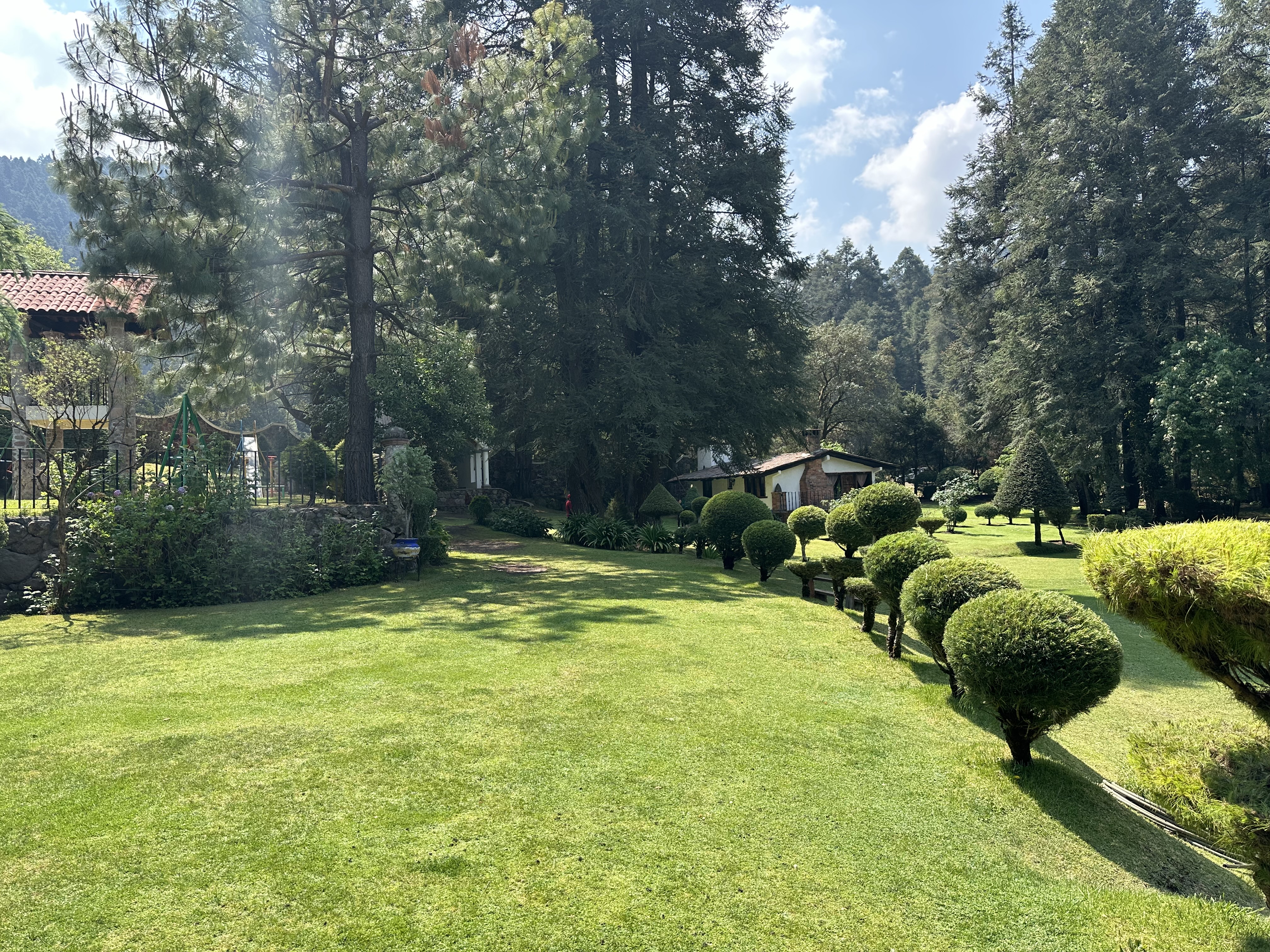 Restaurante El Rincón de los Saucos image 4