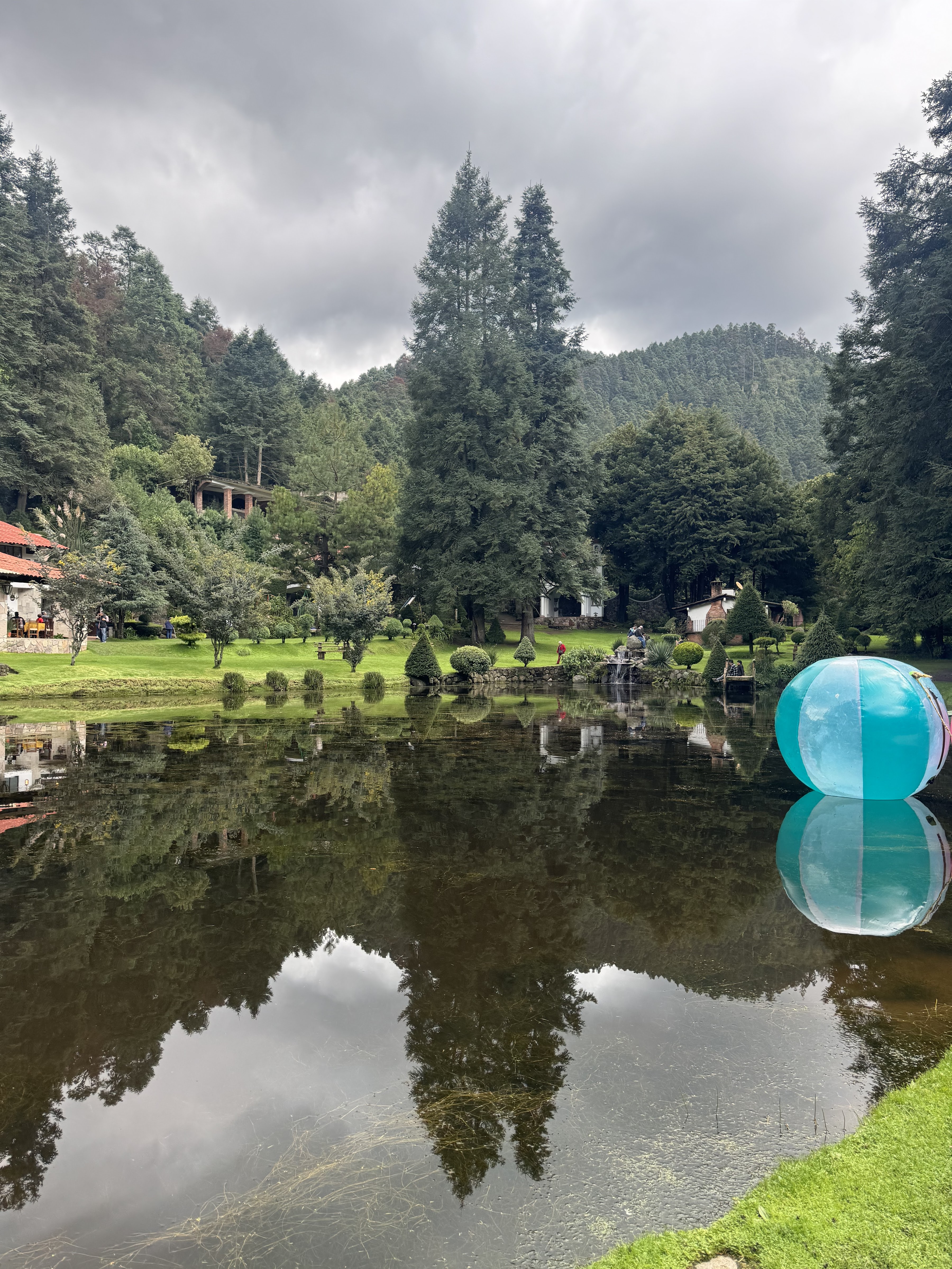 Restaurante El Rincón de los Saucos image 5