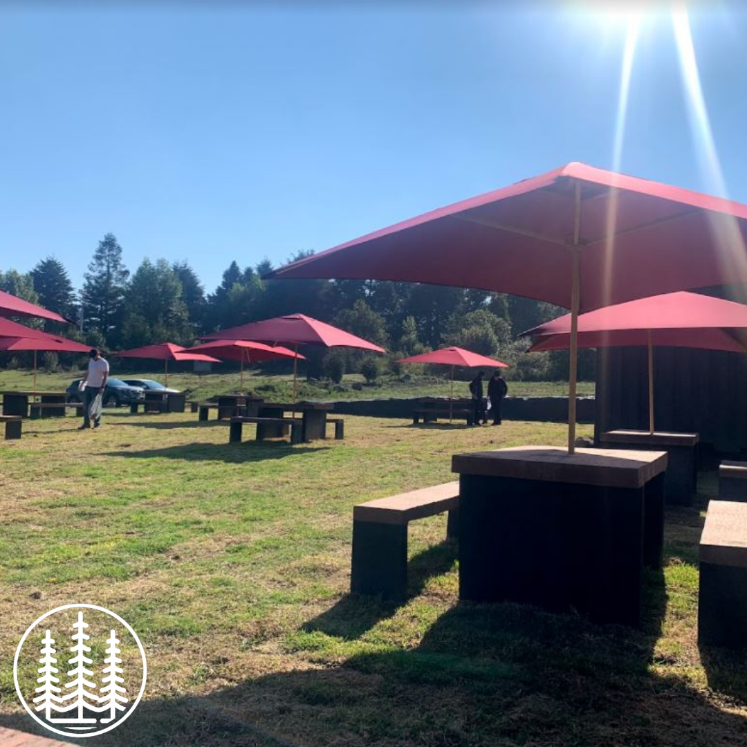 La marquesa Parrilla Bosque image 4