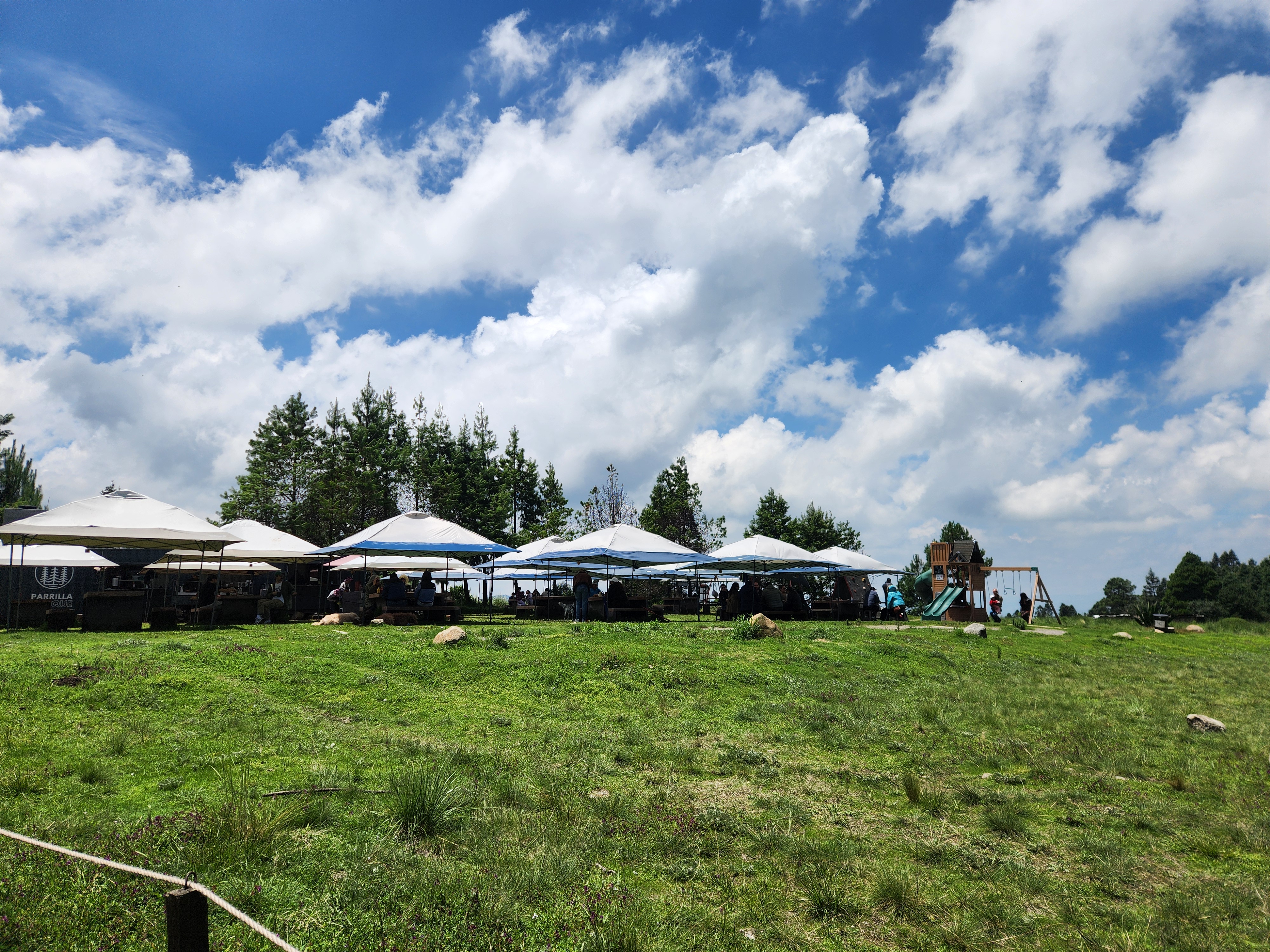 La marquesa Parrilla Bosque image 7