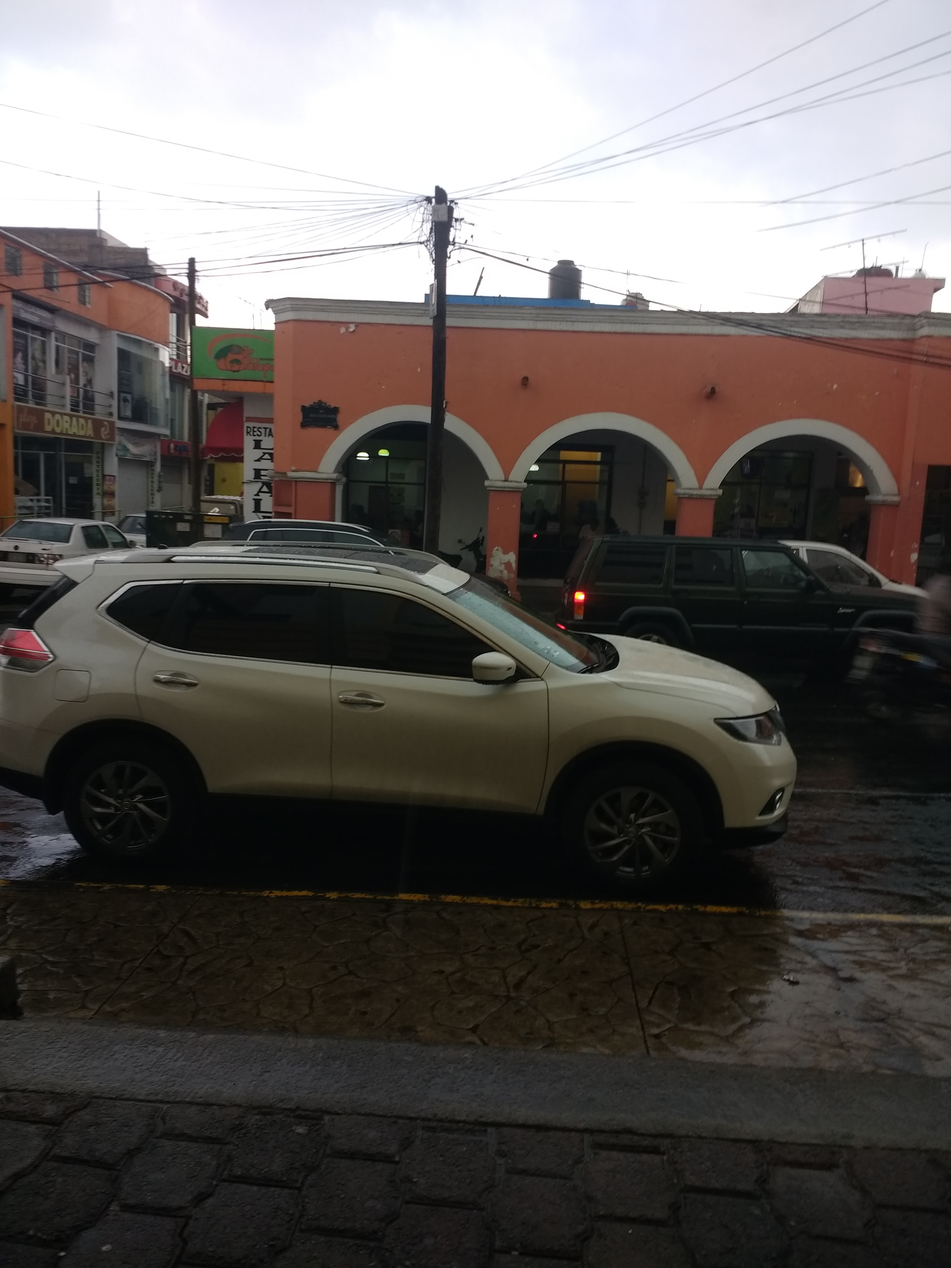 Restaurante la Palapa image 3