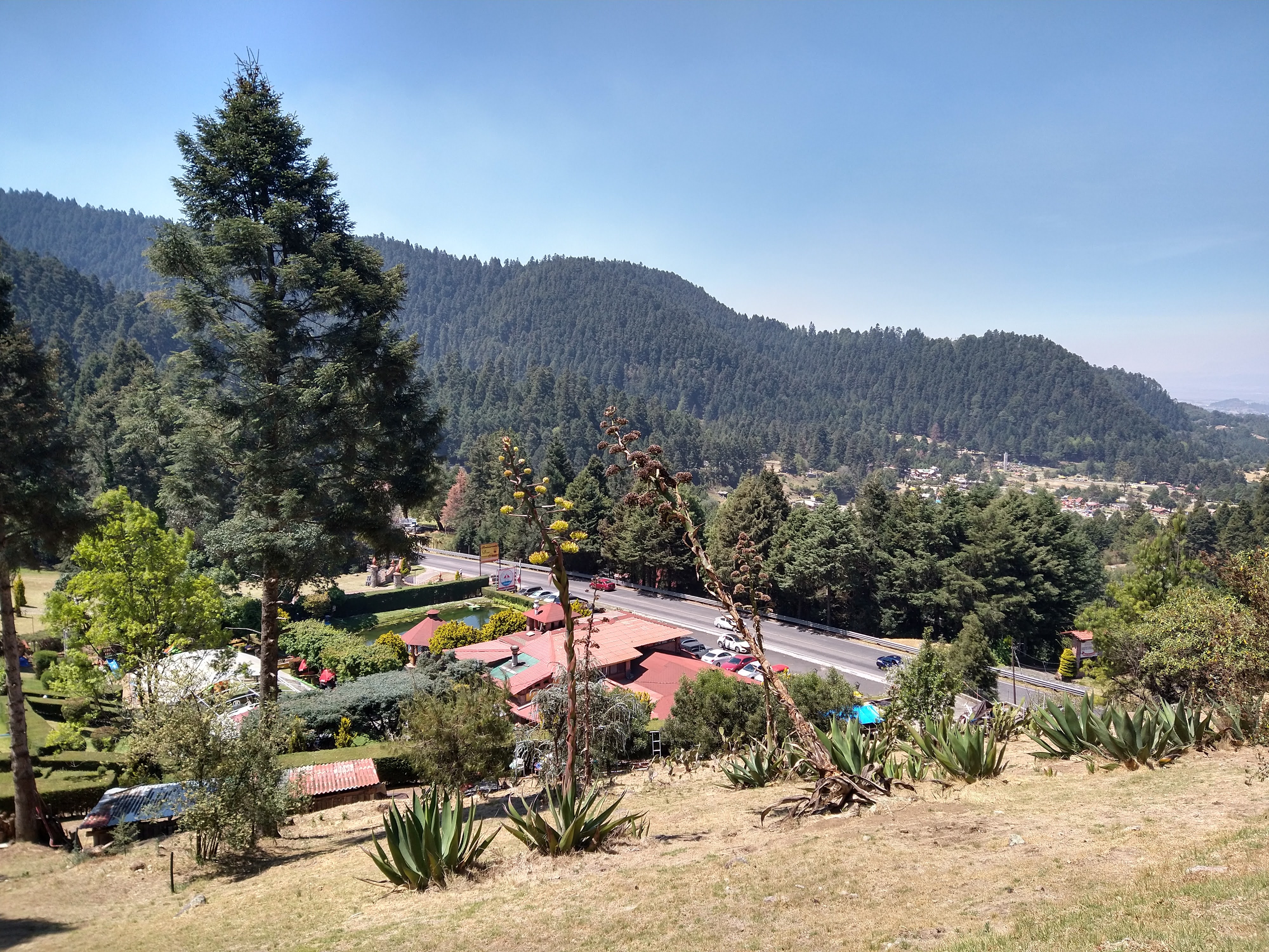 Restaurante El Manantial image 5