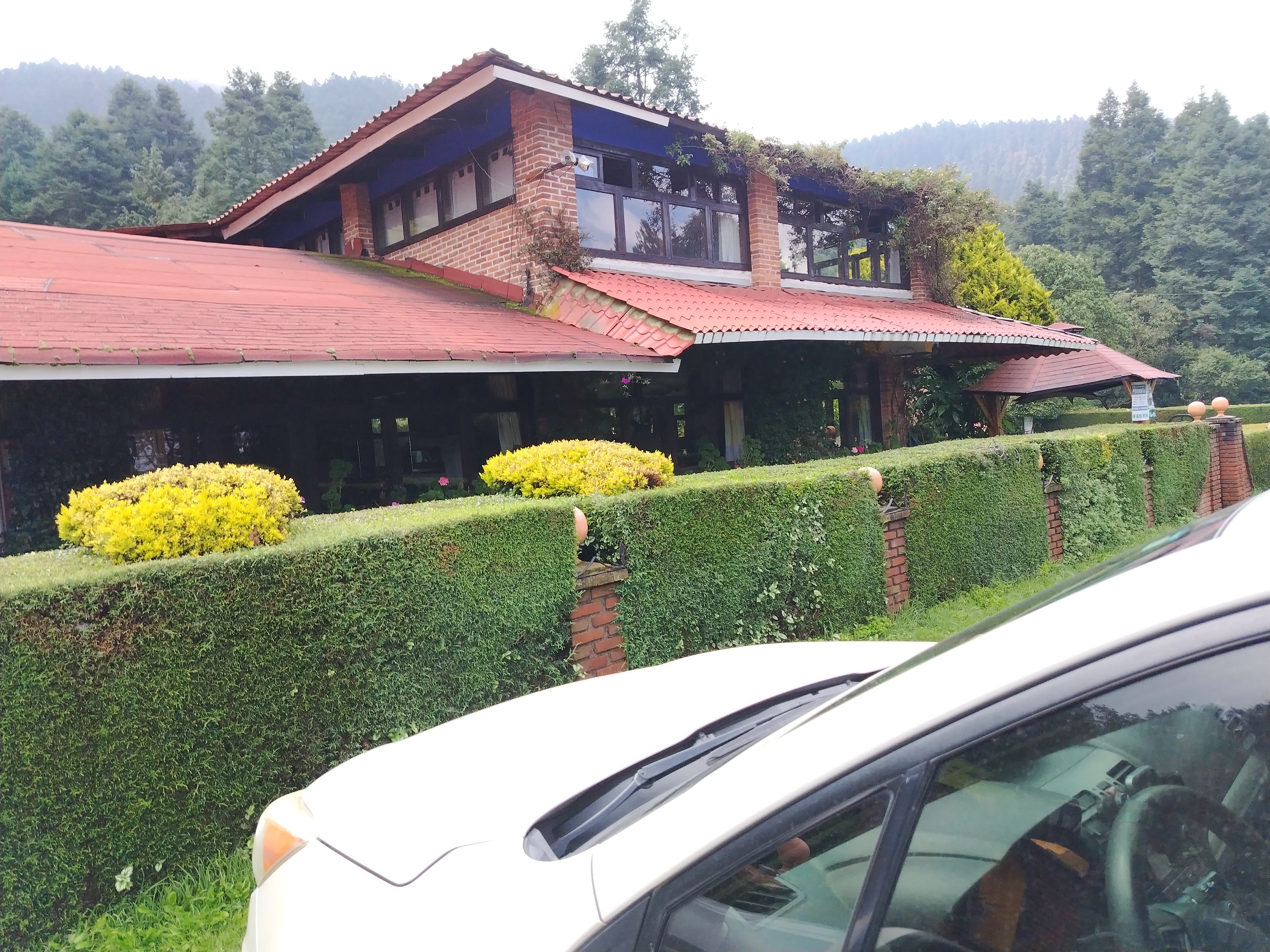 Restaurante El Manantial image 9