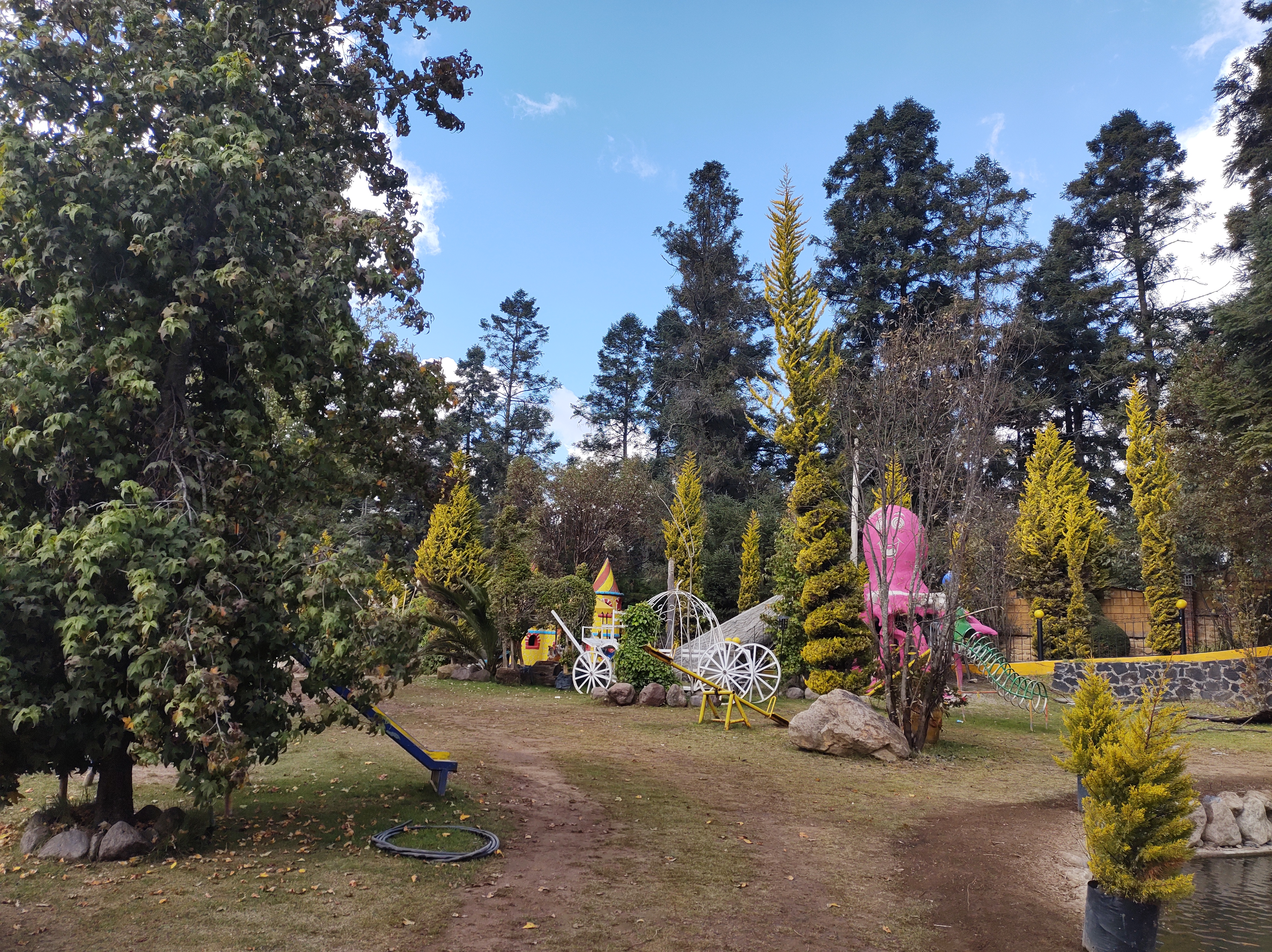 Restaurante El Venado image 6