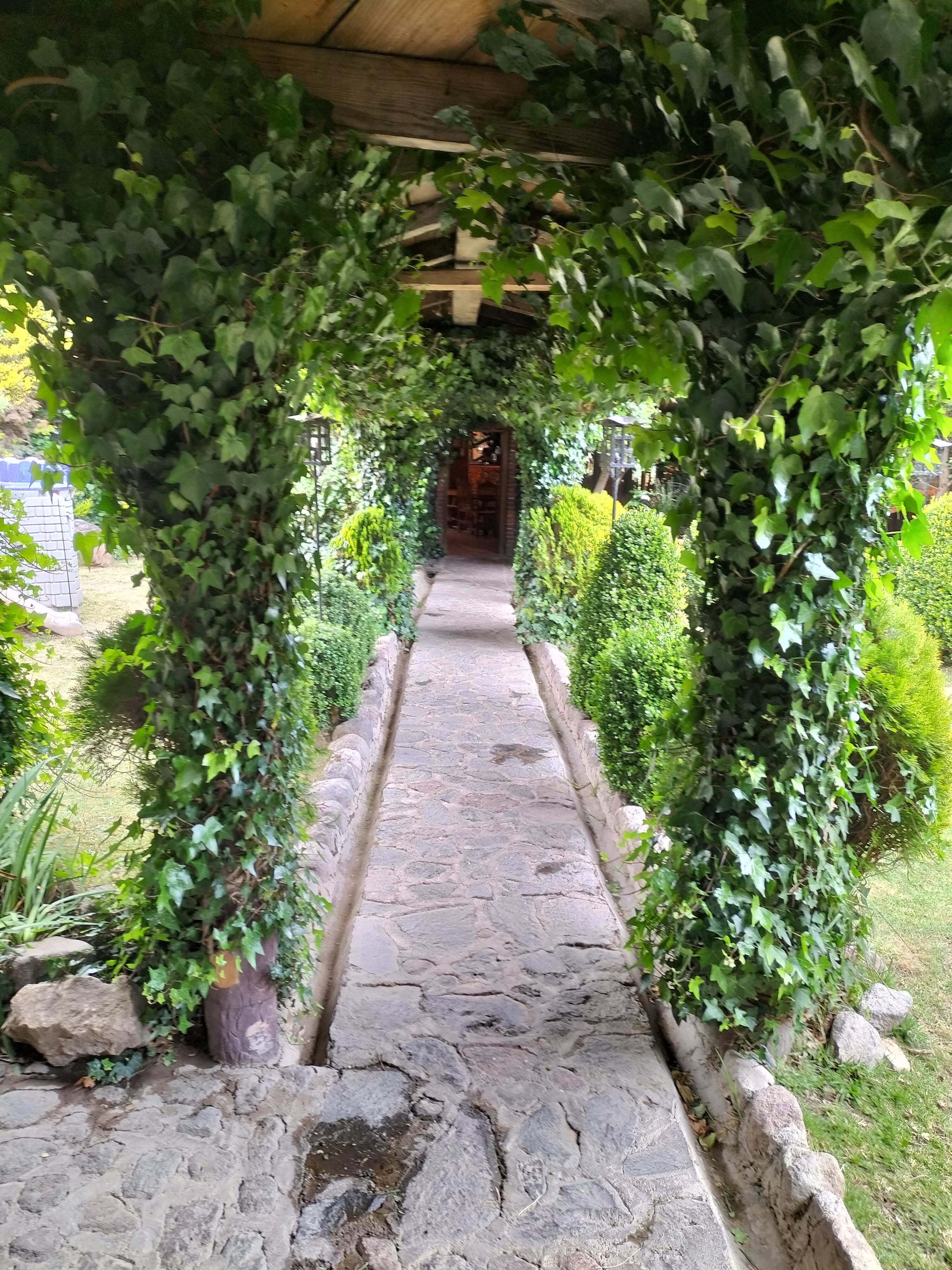 Restaurante El Venado image 8