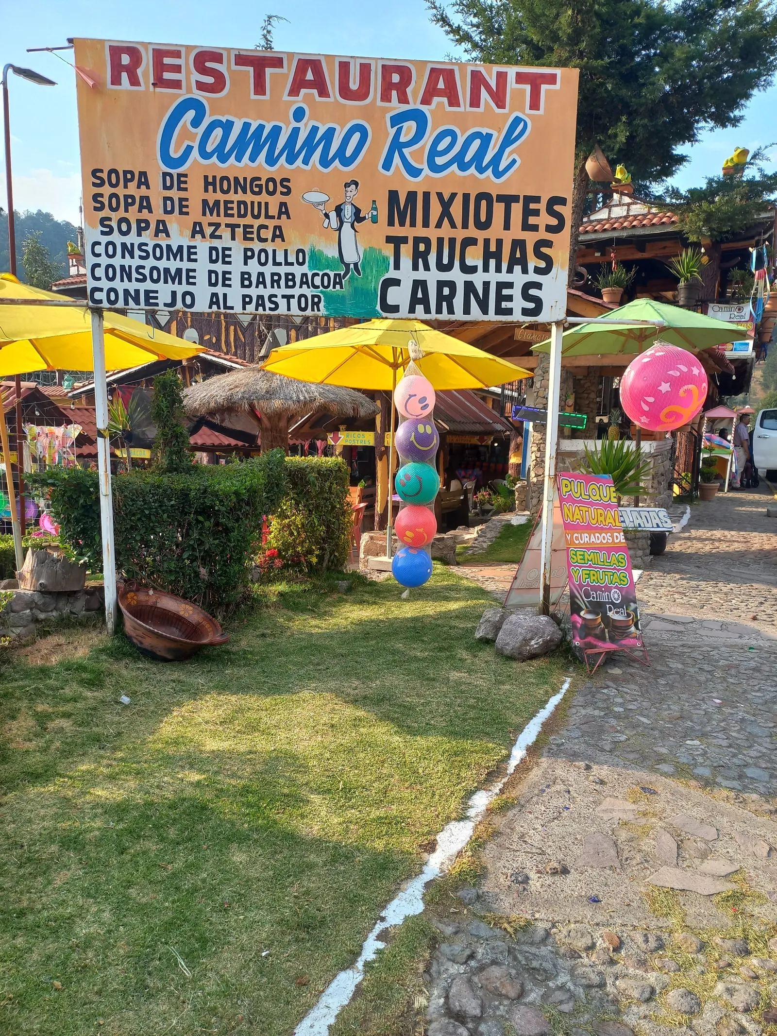 Restaurant Camino Real image 6