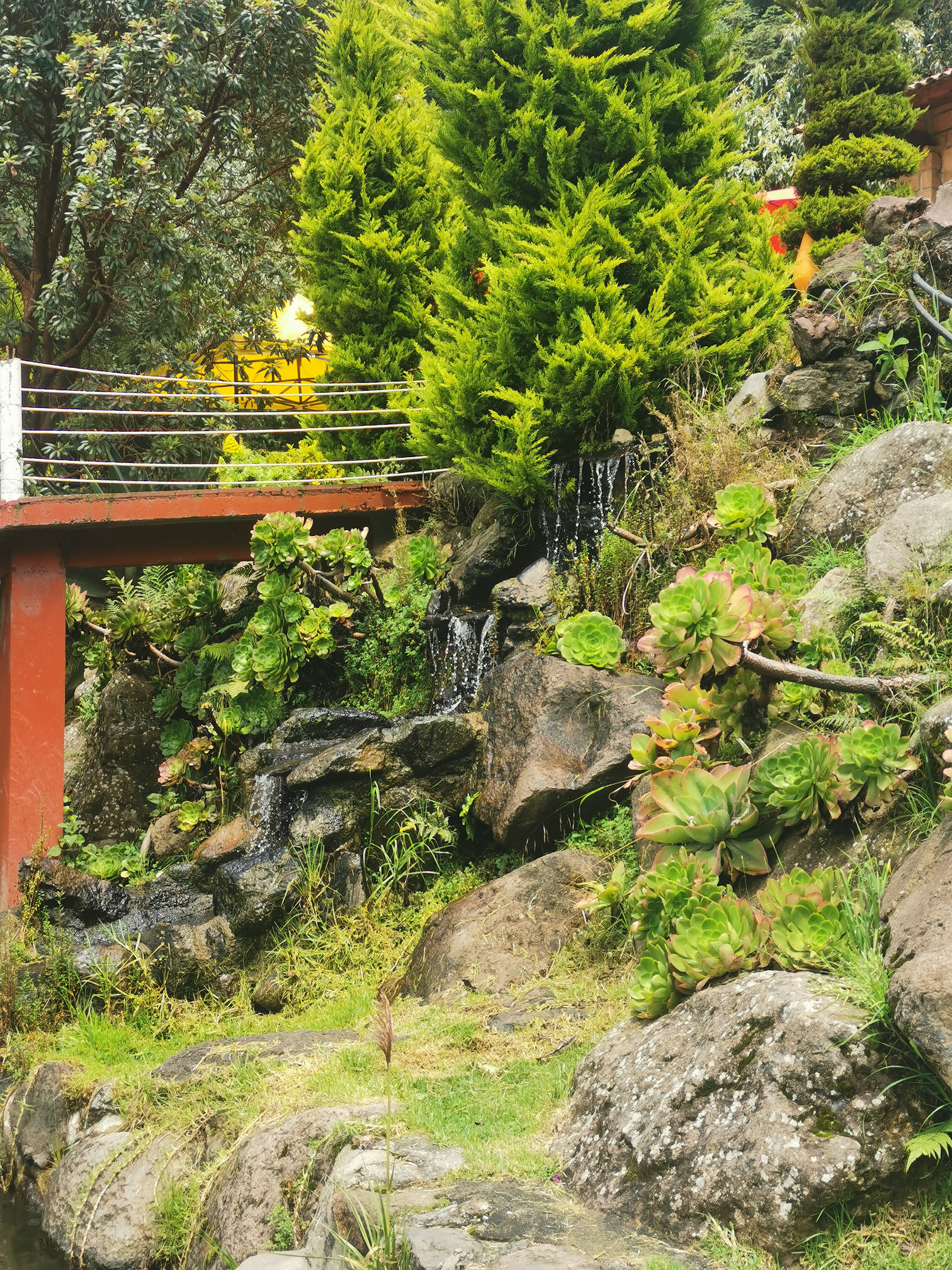 Restaurante Don Chon image 9