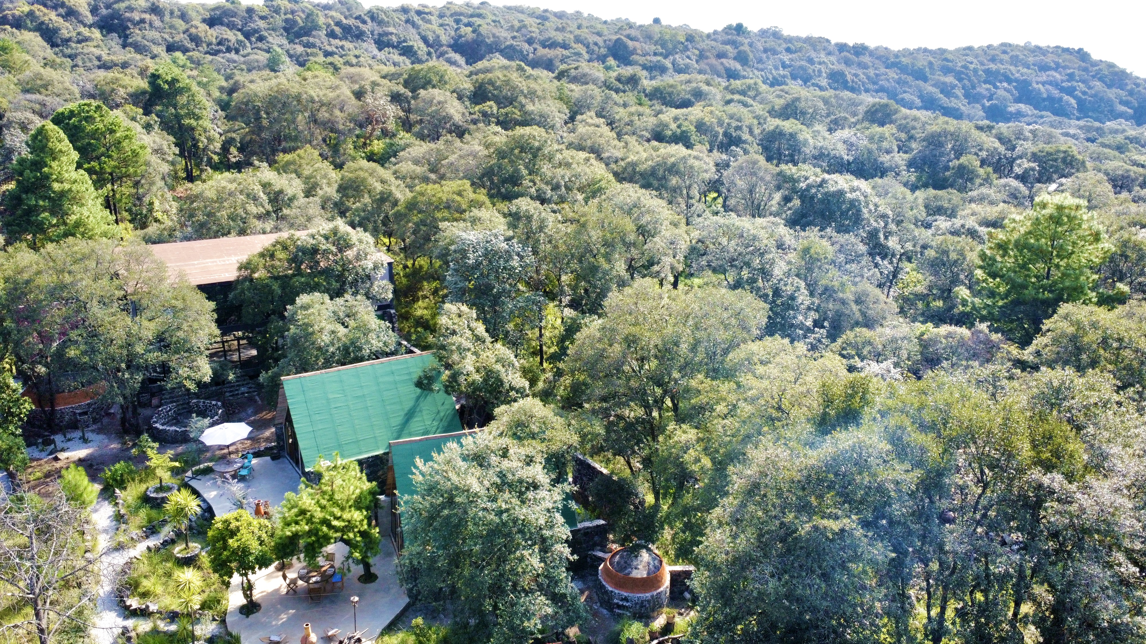 PIEDRA BRAZA- Orígenes image 10