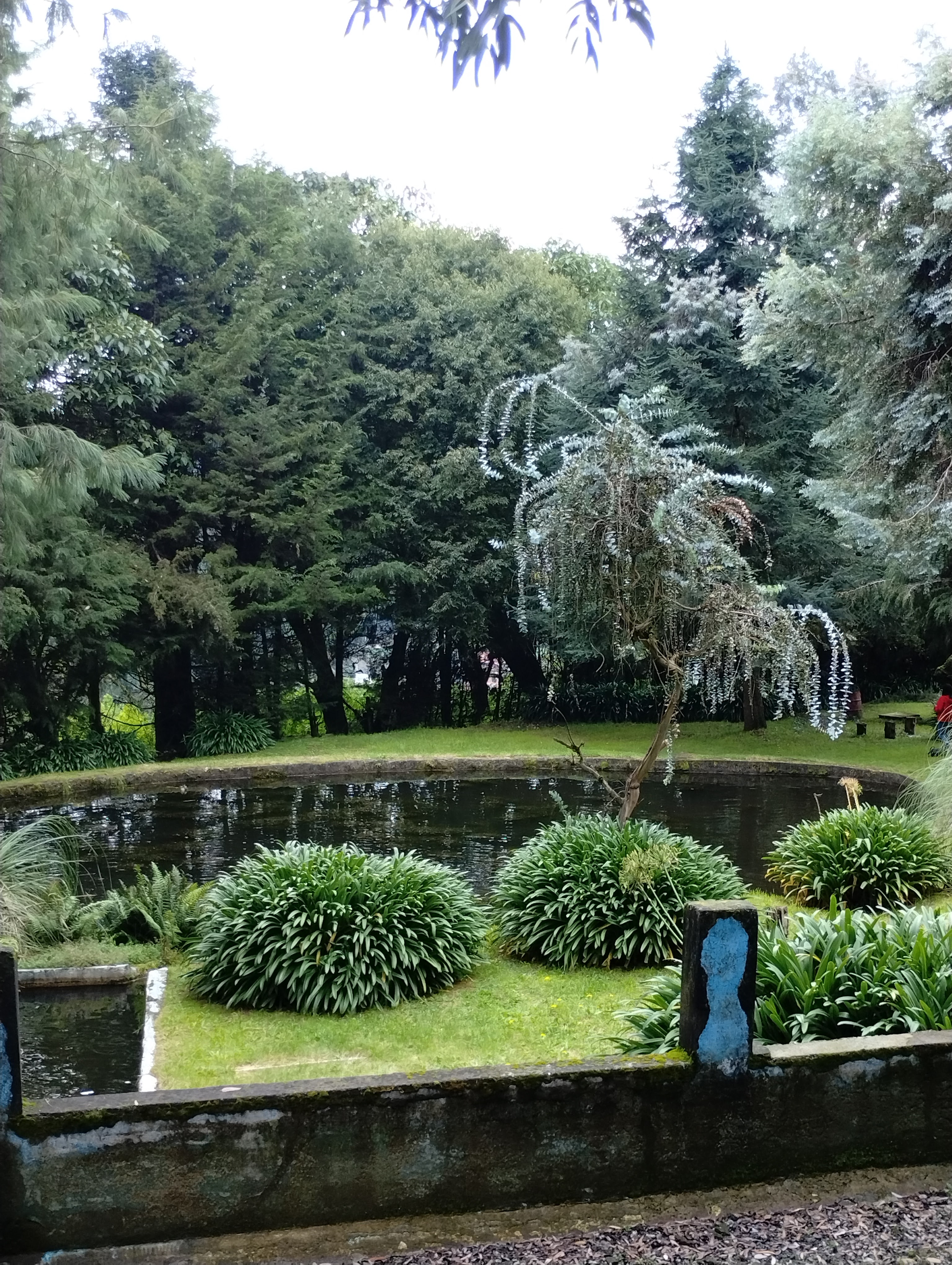 Restaurante El Paraiso image 7