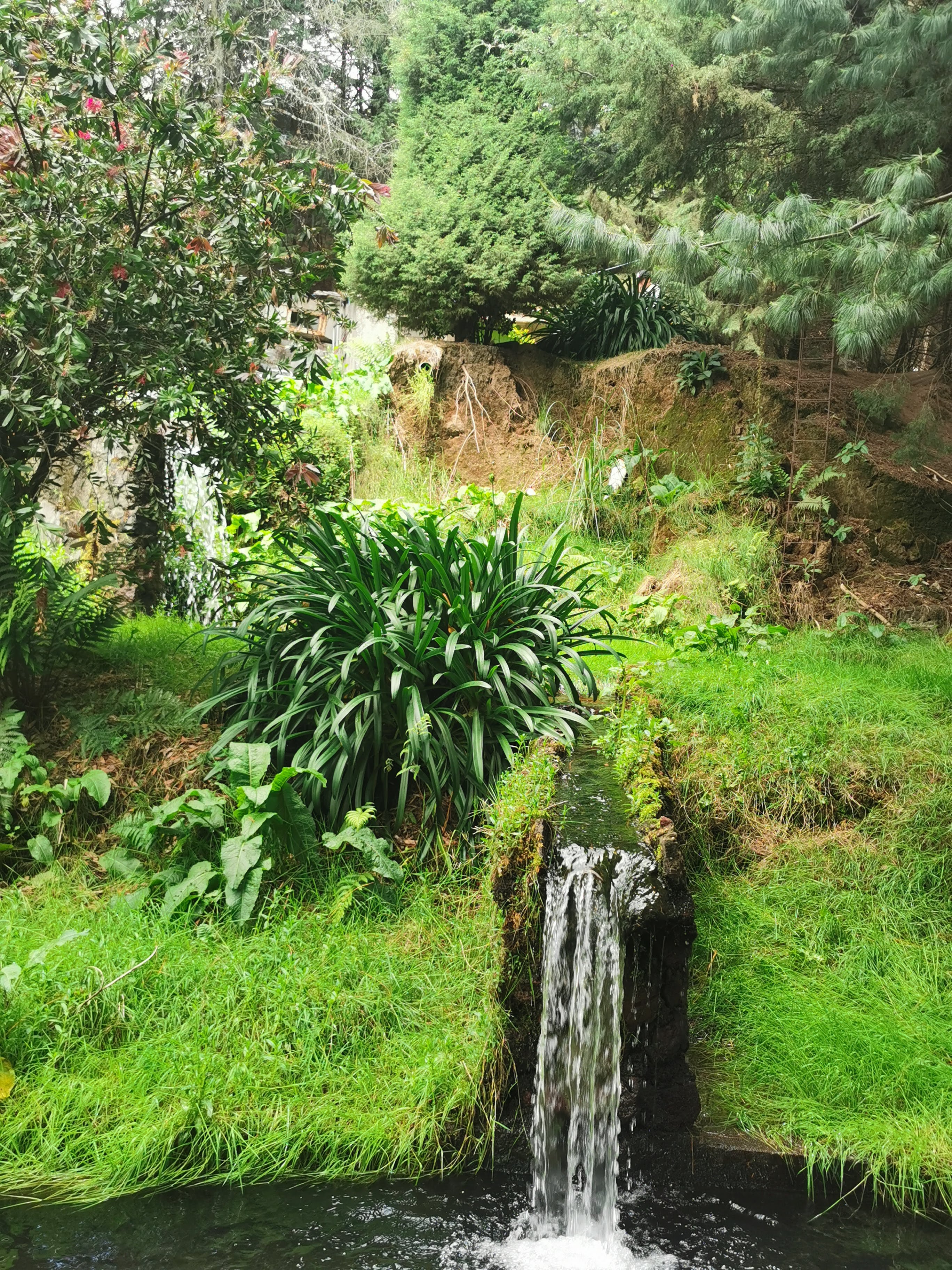 Restaurante El Paraiso image 8