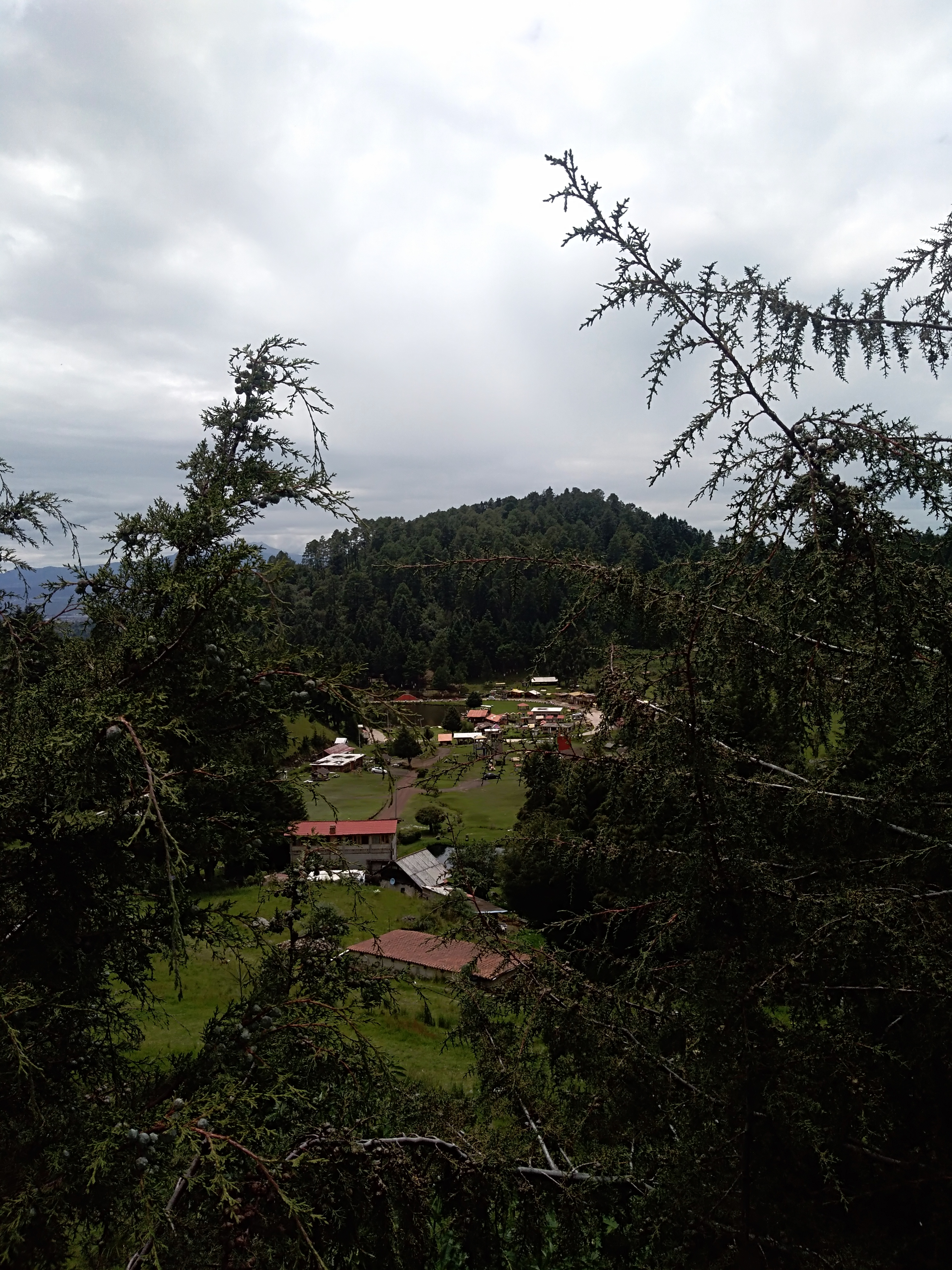 Restaurante El Paraiso image 9