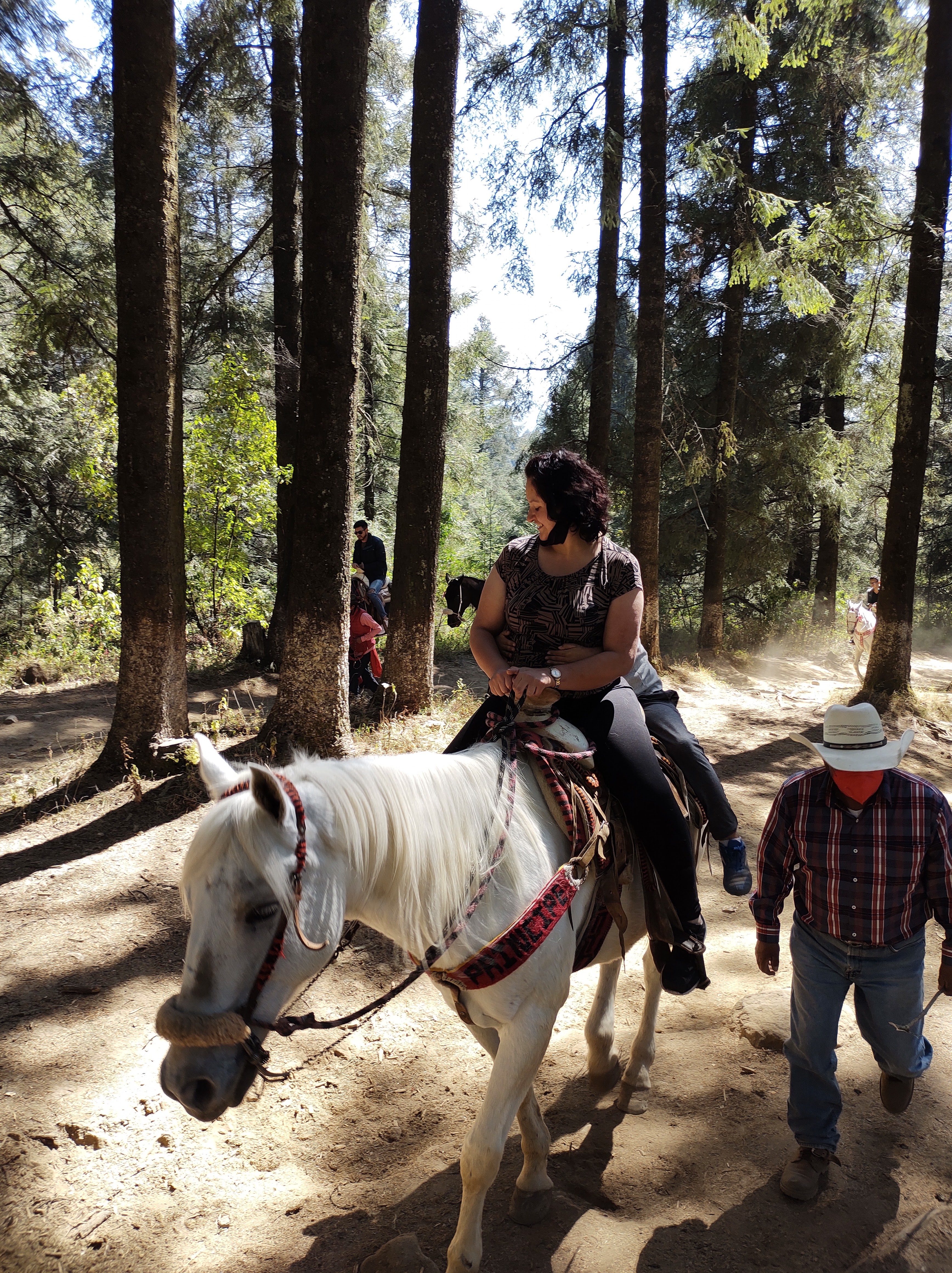 Restaurante Real del bosque image 6
