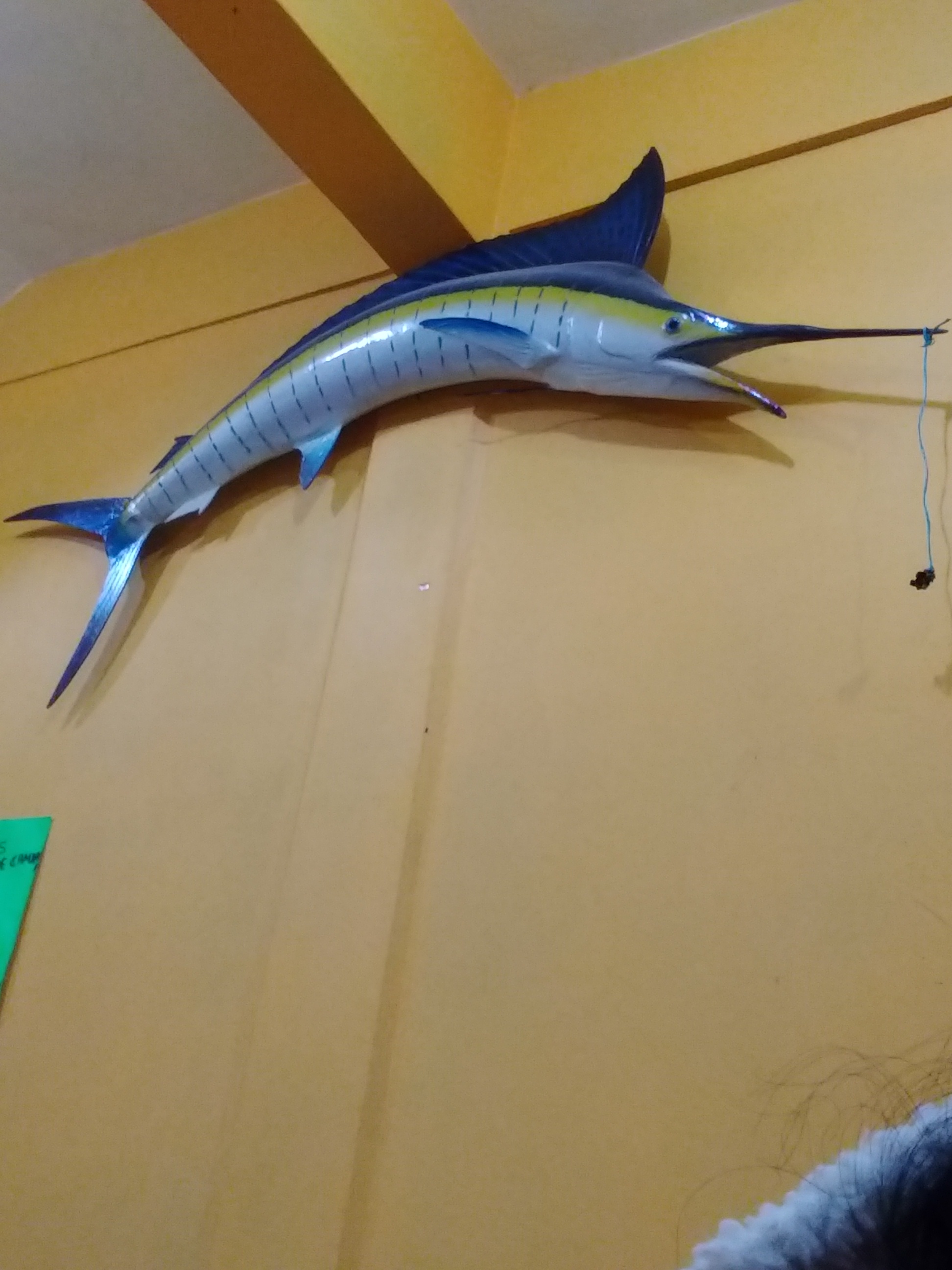 Pescados y mariscos. "Santa María" Fam. Martinez image 6