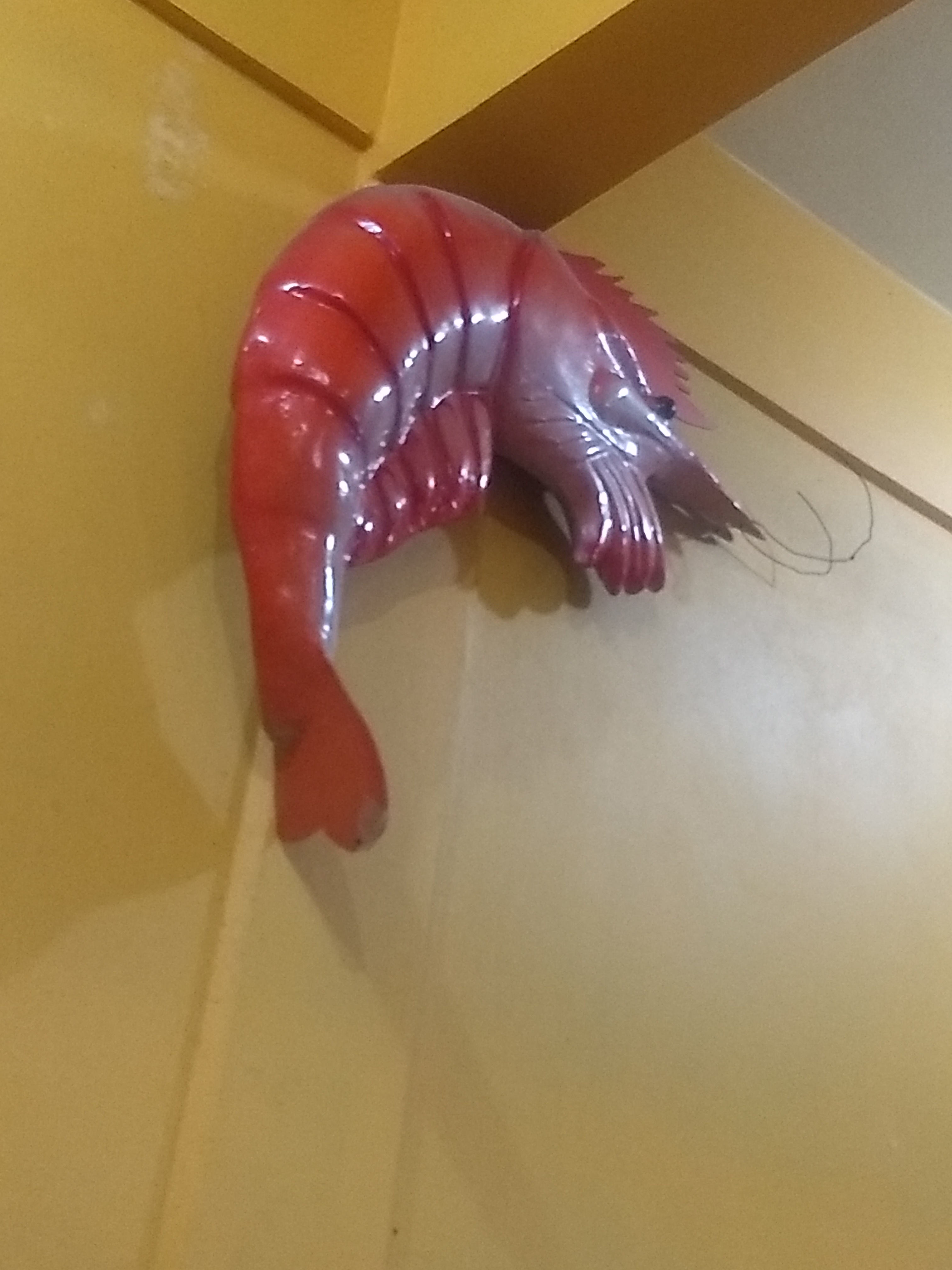 Pescados y mariscos. "Santa María" Fam. Martinez image 7